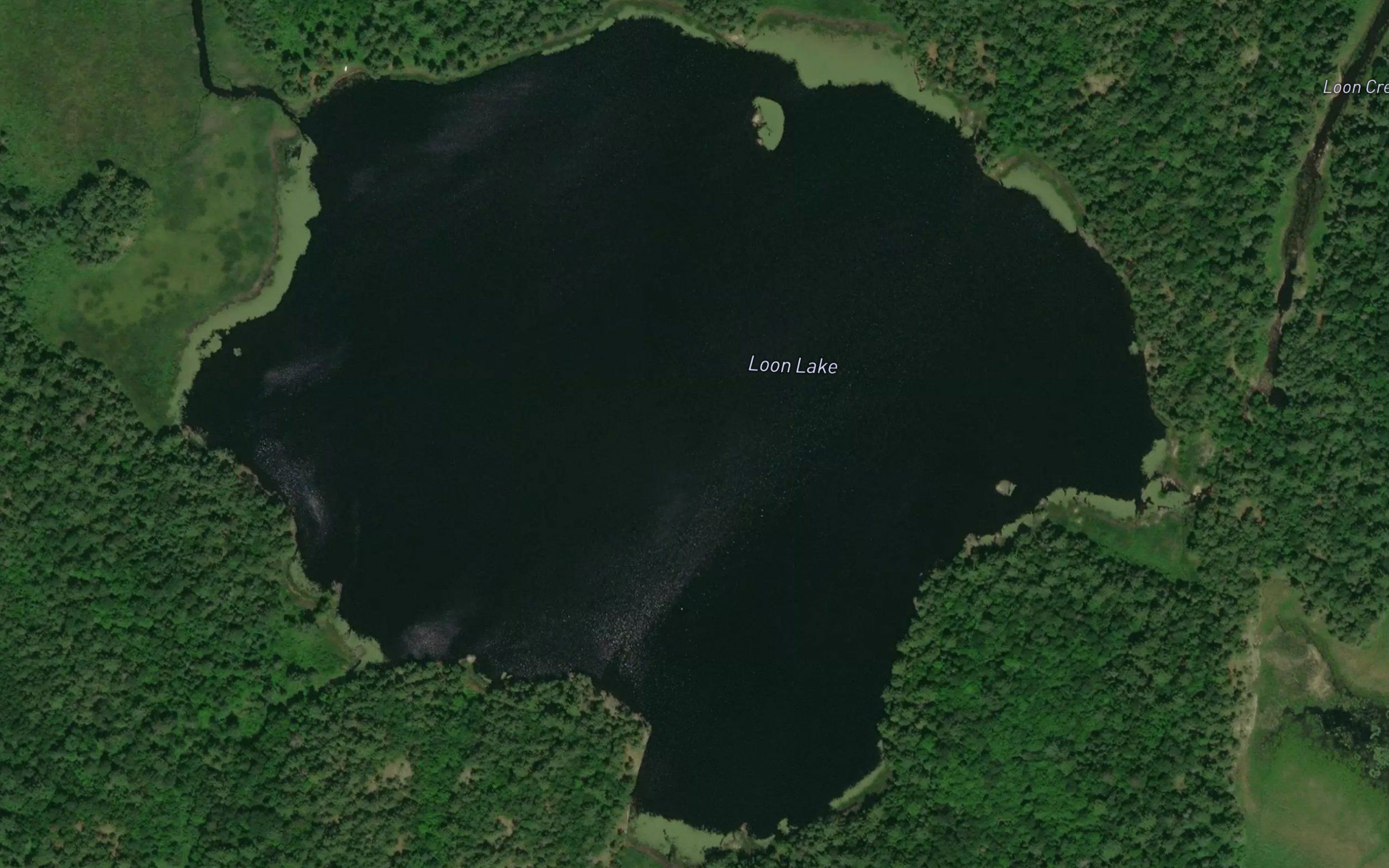 Loon Lake