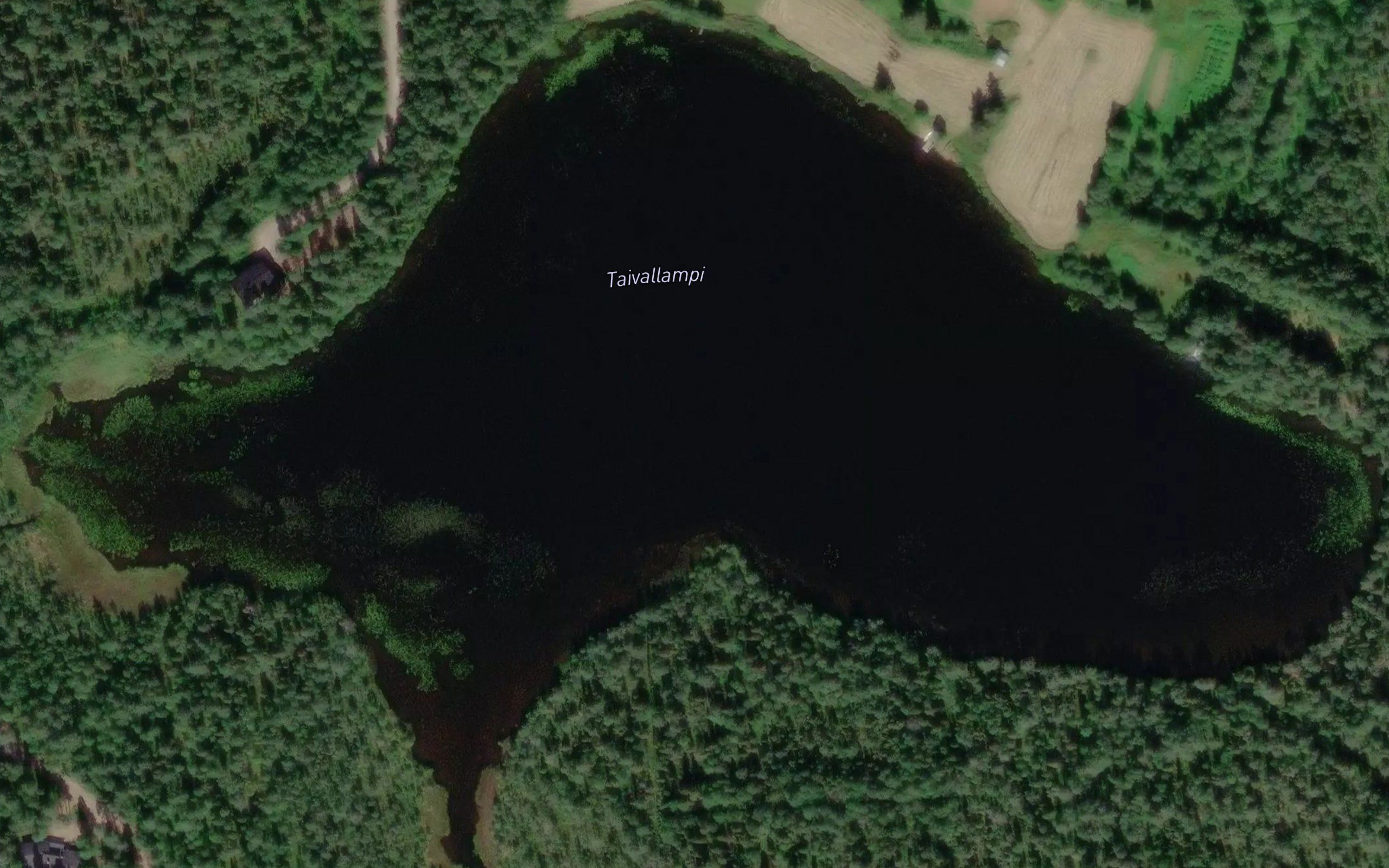 Taivallampi