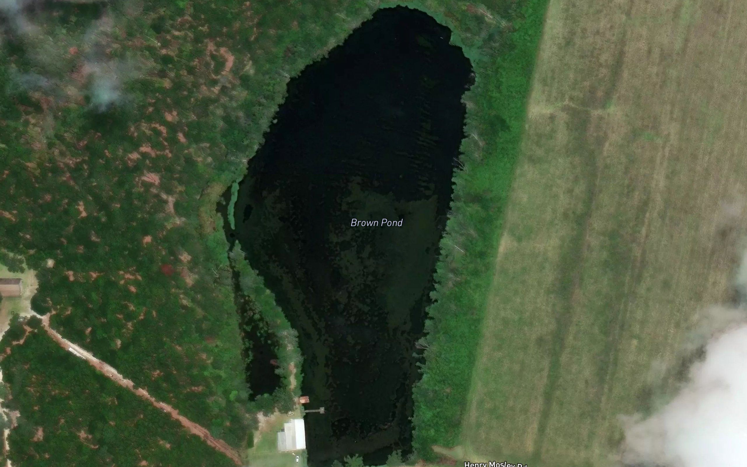 Brown Pond