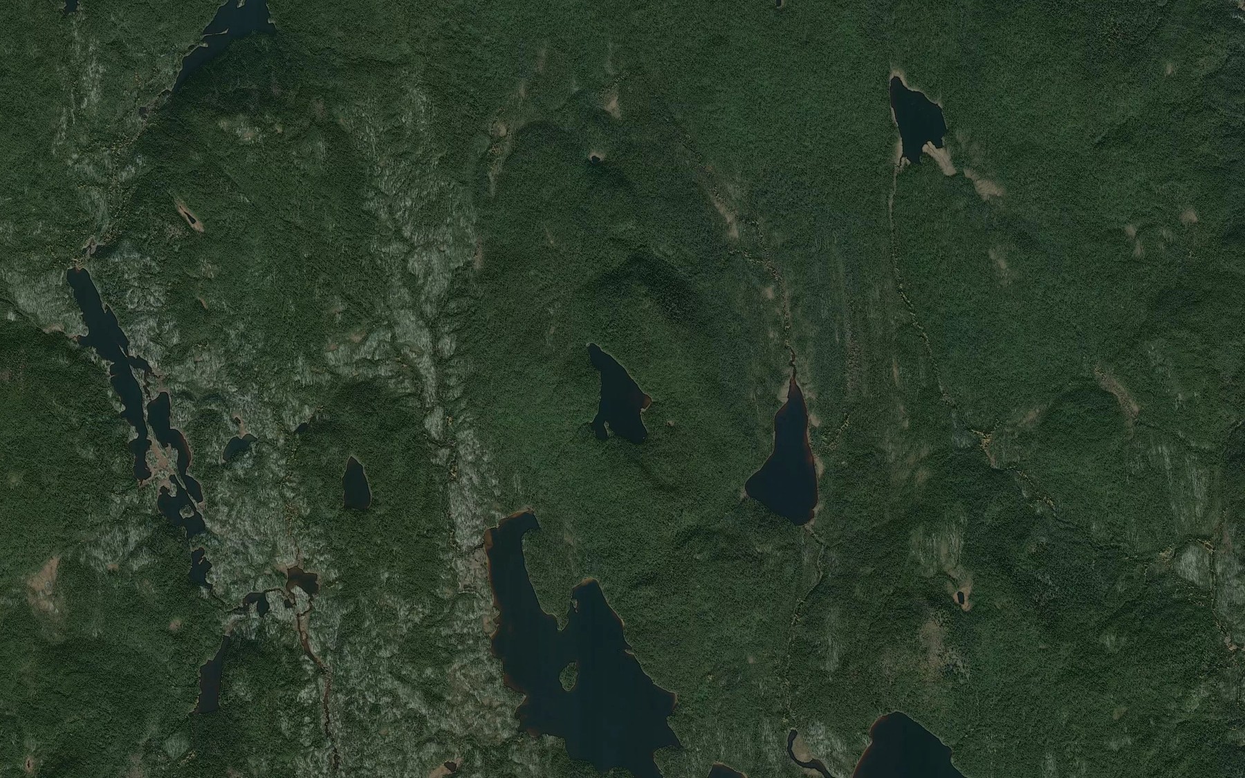 Satellite map of the Lac de la Grenouille des Bois