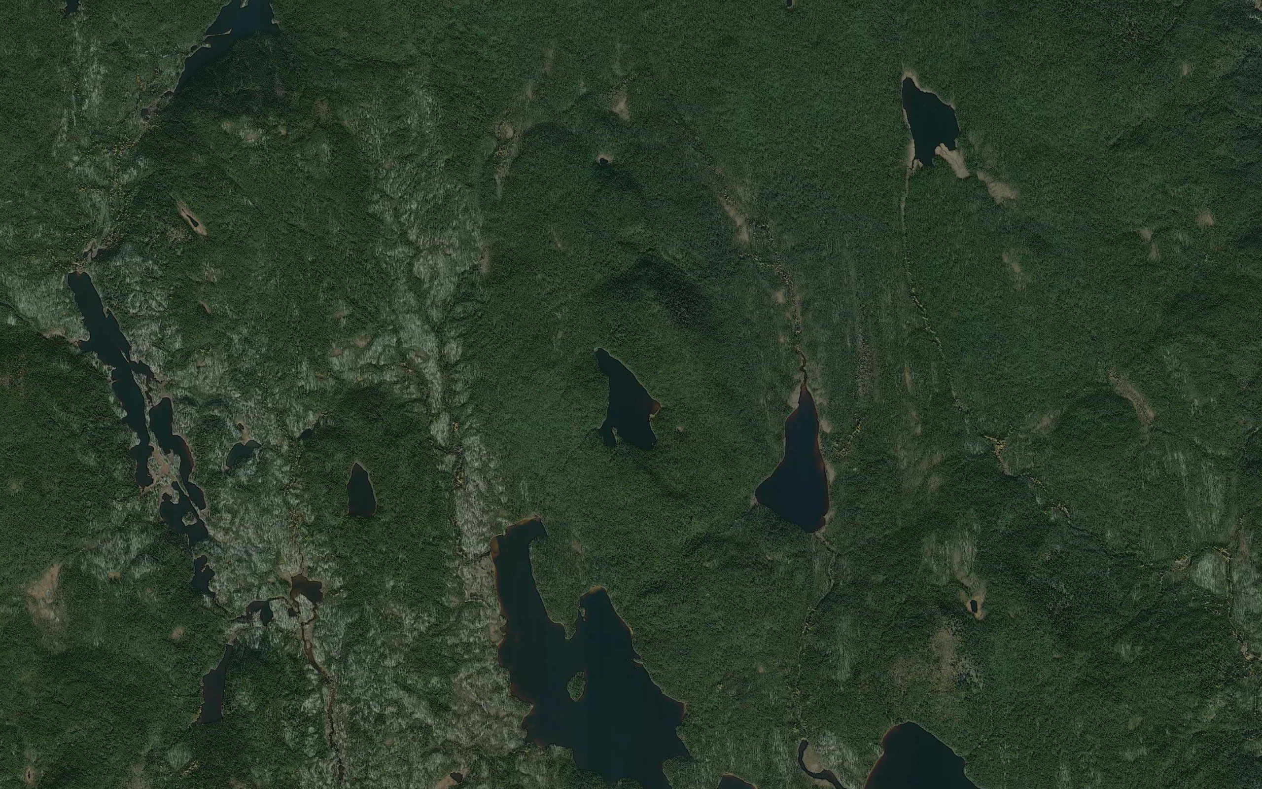 Lac de la Grenouille des Bois