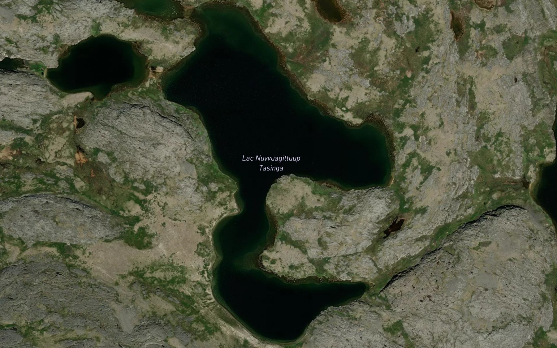 Satellite map of the Lac Nuvvuagittuup Tasinga