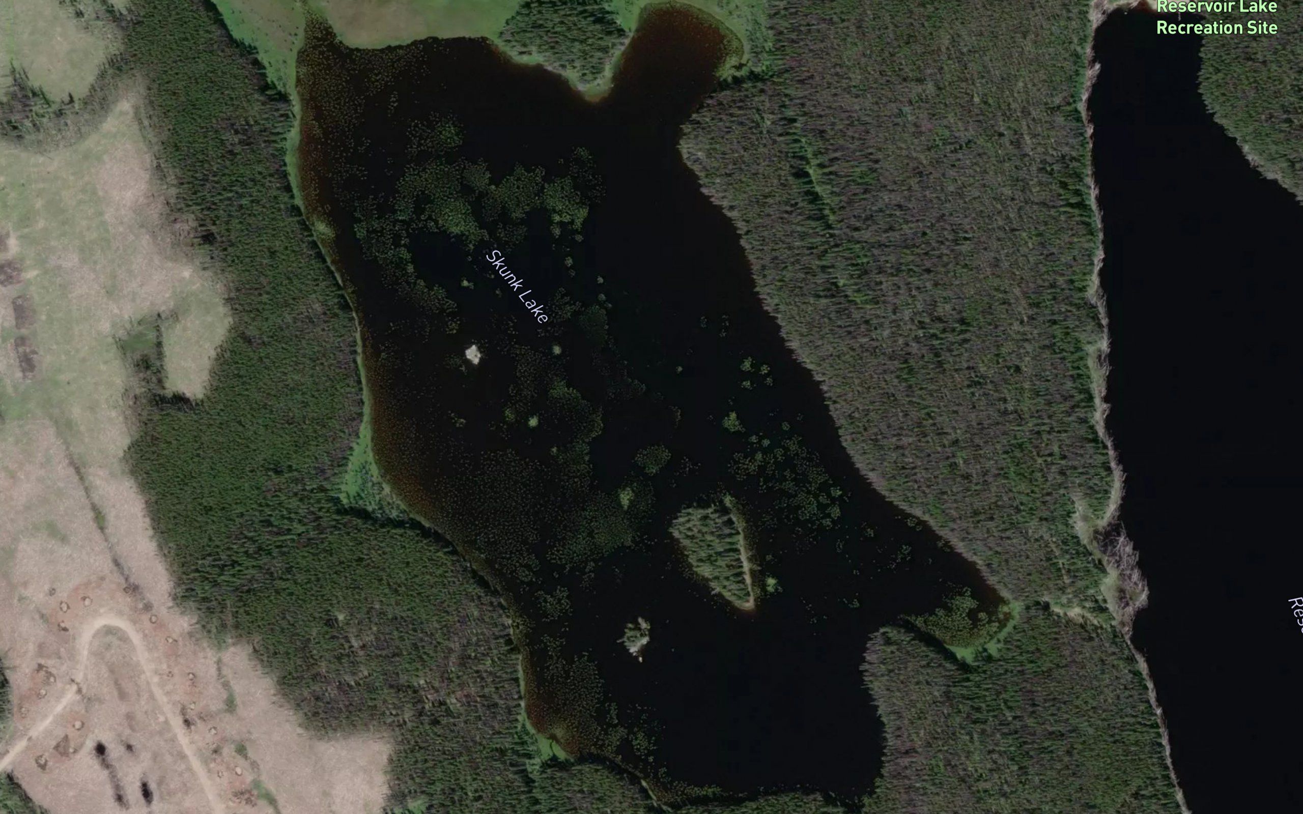 Skunk Lake