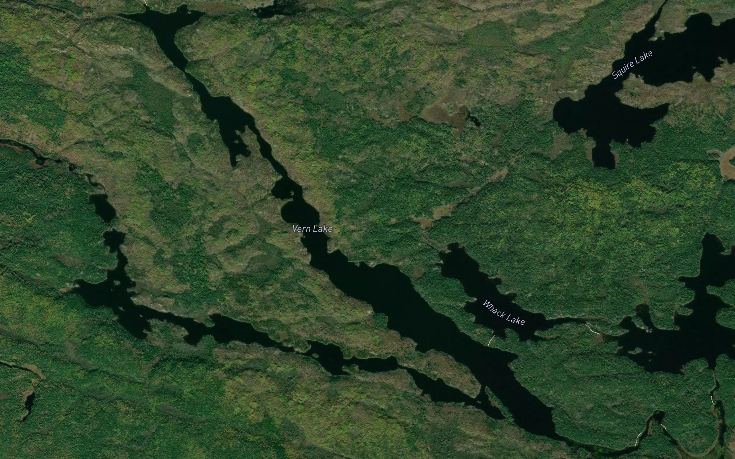 Vern Lake