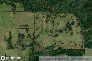 Little Boggy Creek