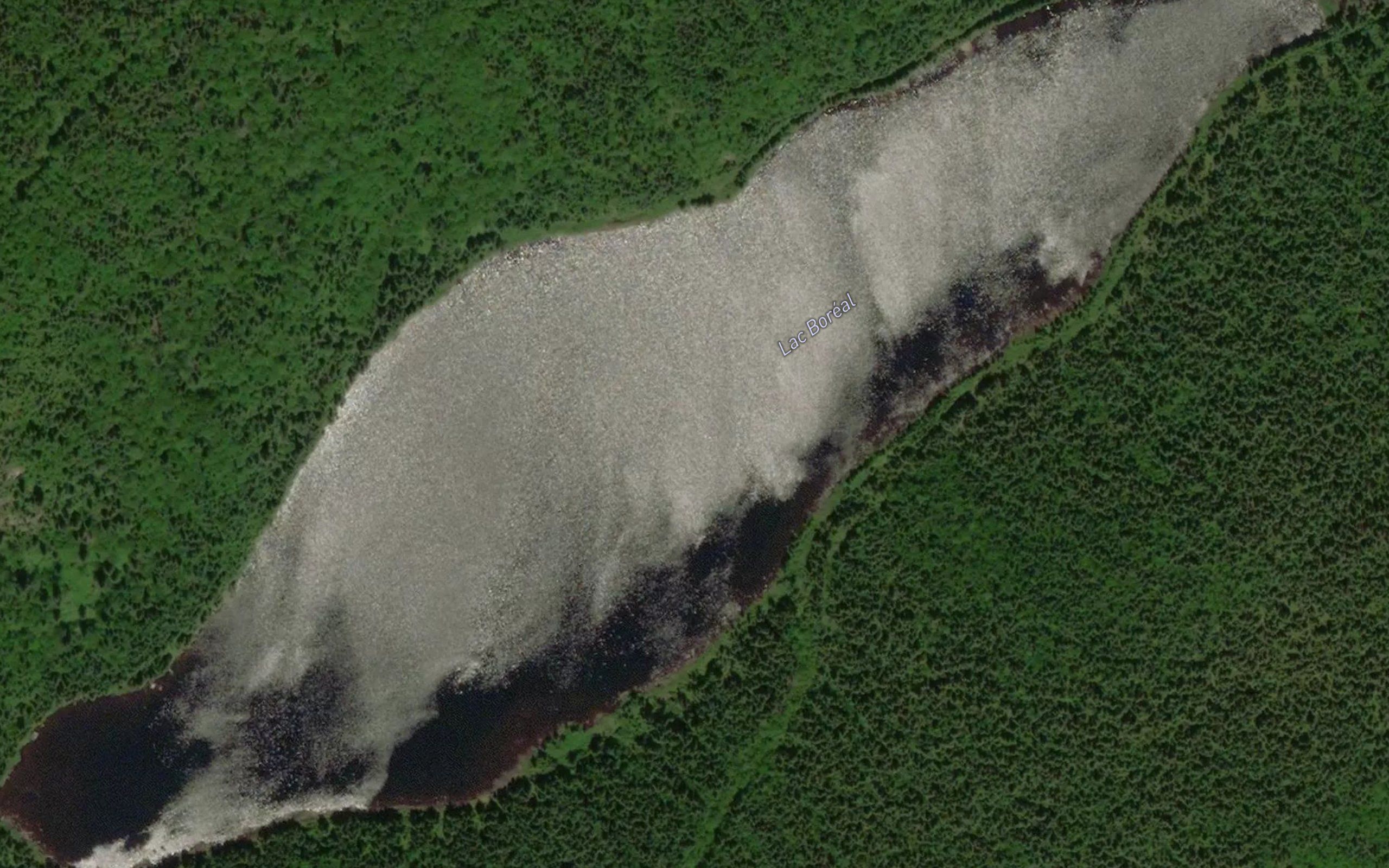 Lac Boreal