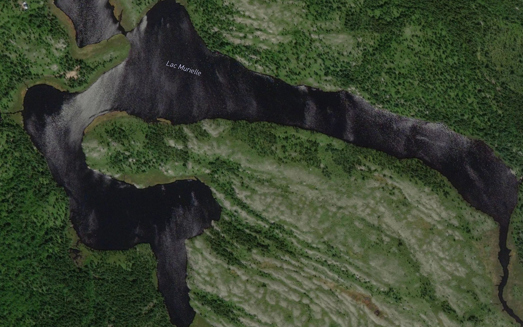 Satellite map of the Lac Murielle
