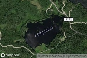 Luippunen