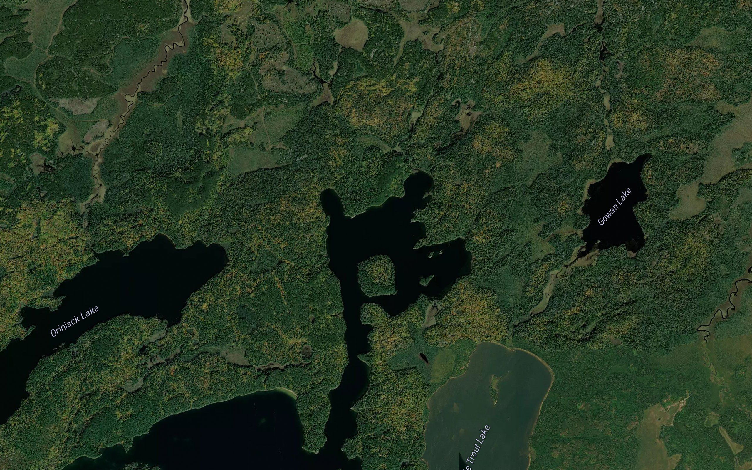 North Arm Trout Lake