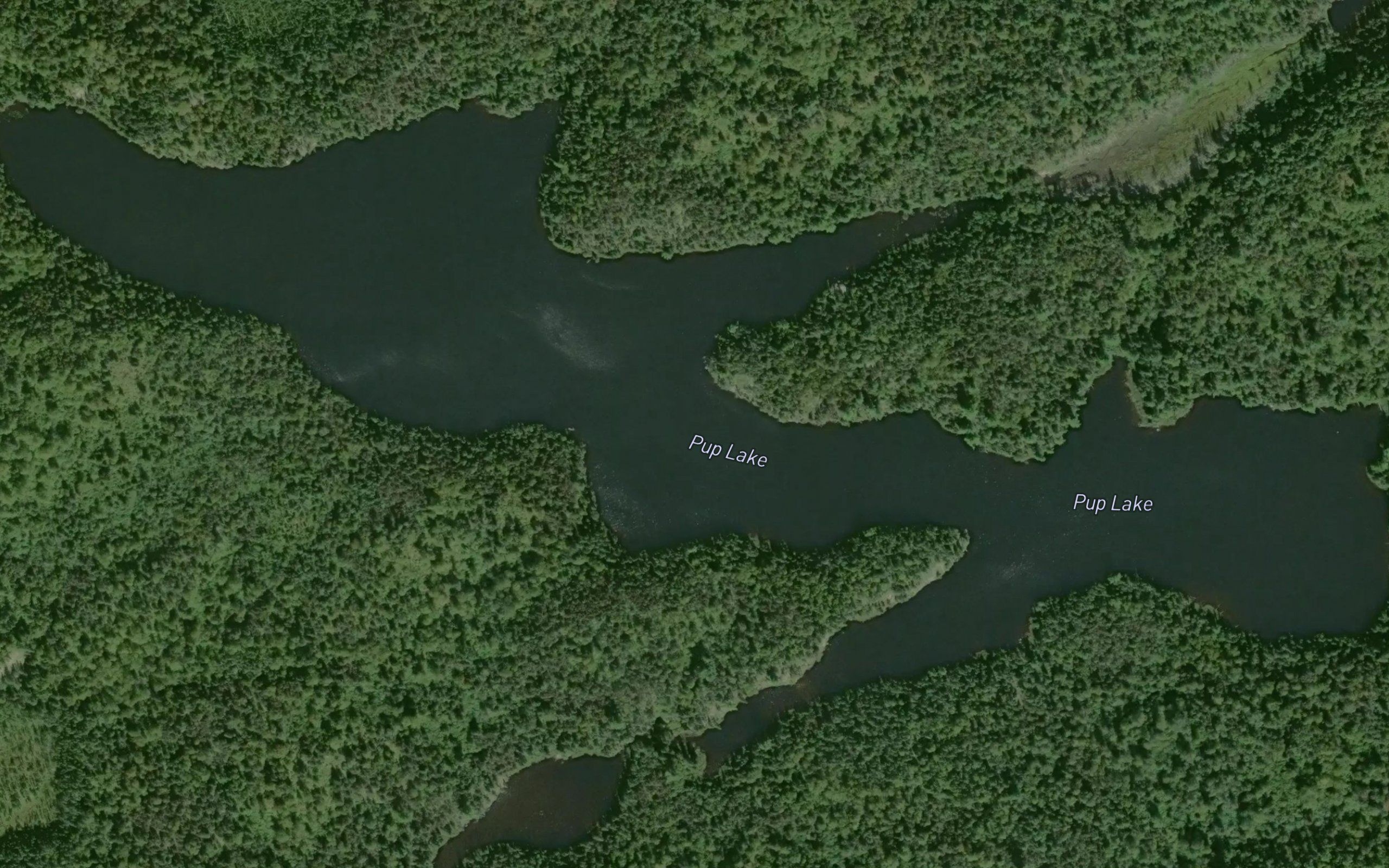 Pup Lake
