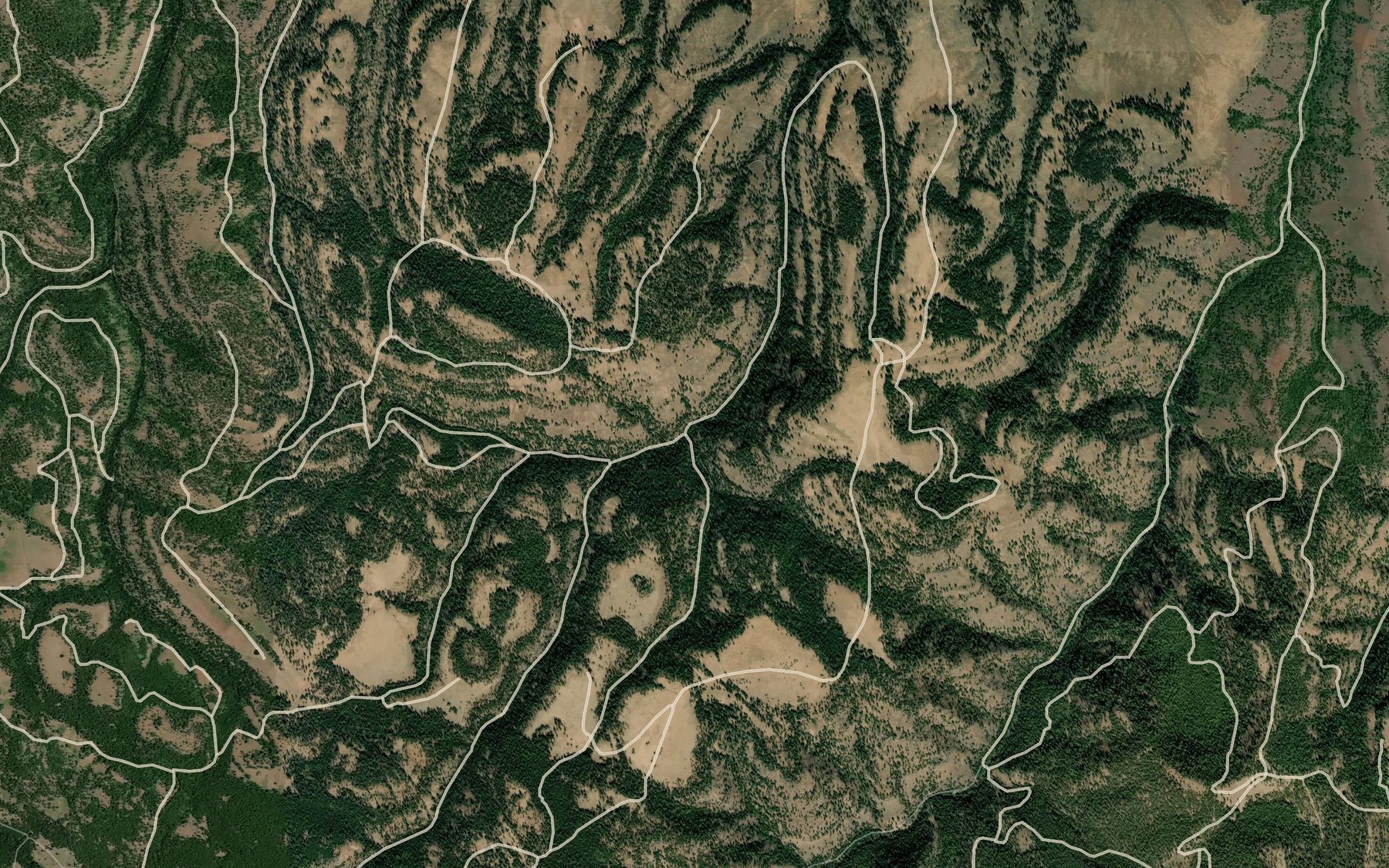 Satellite map of the Pickle Creek