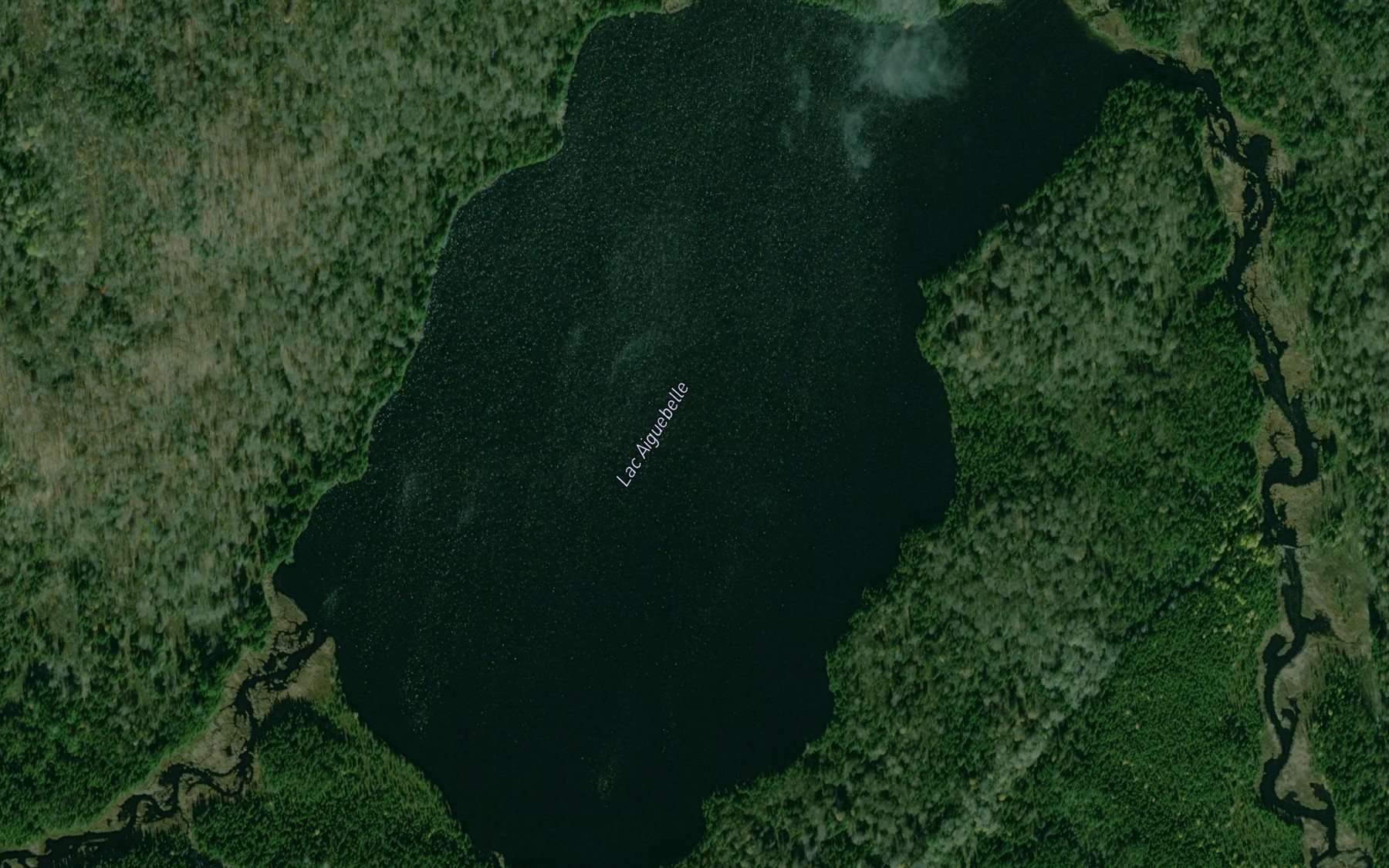 Satellite map of the Lac Aiguebelle