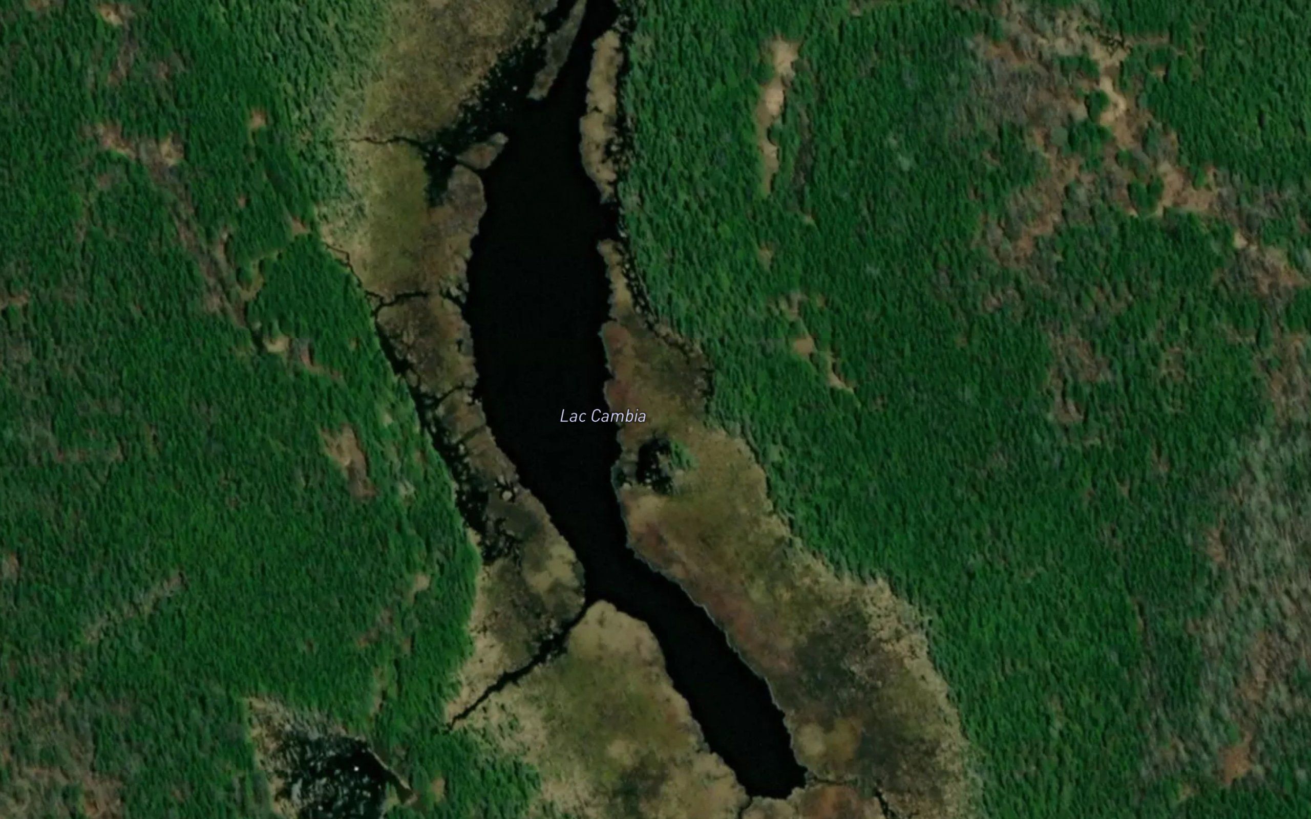 Lac Cambia