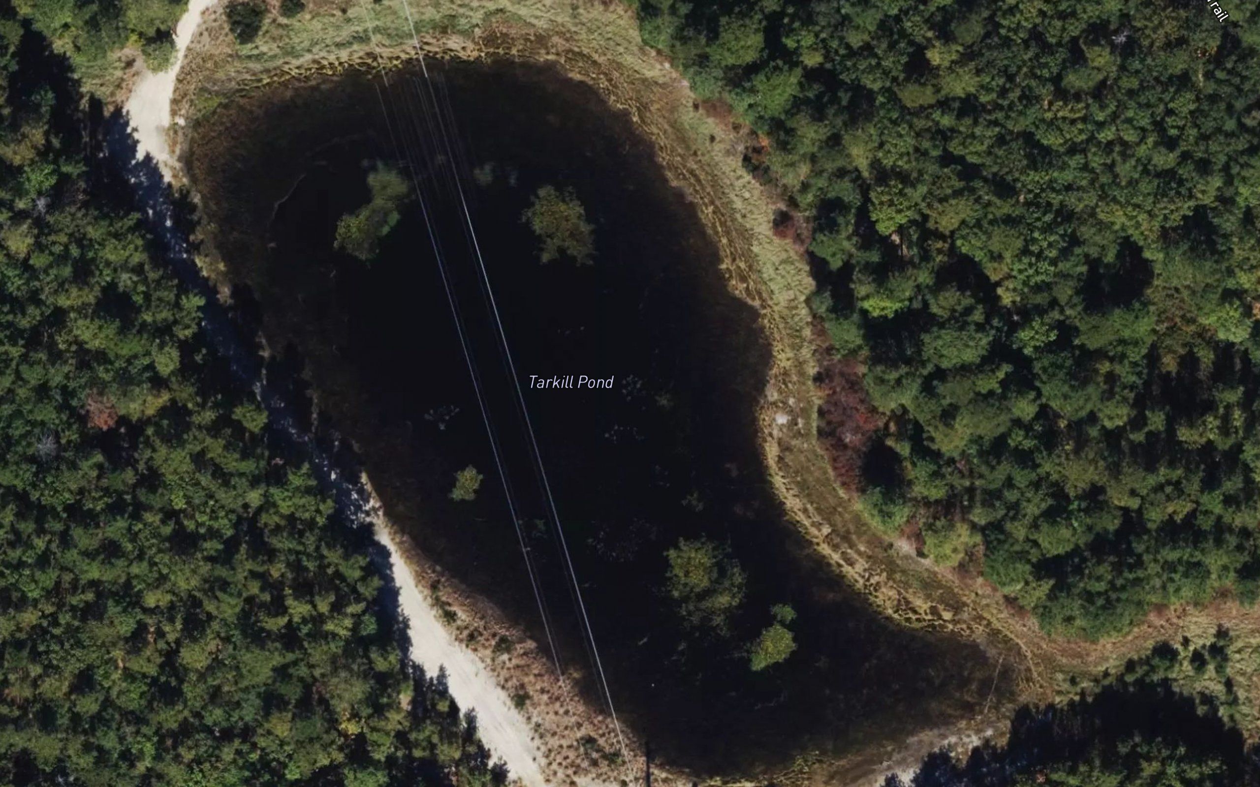 Tarkill Pond