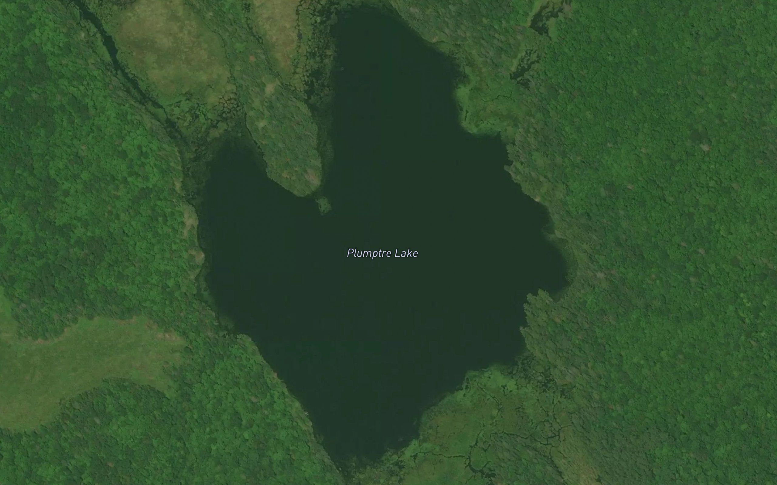 Plumptre Lake