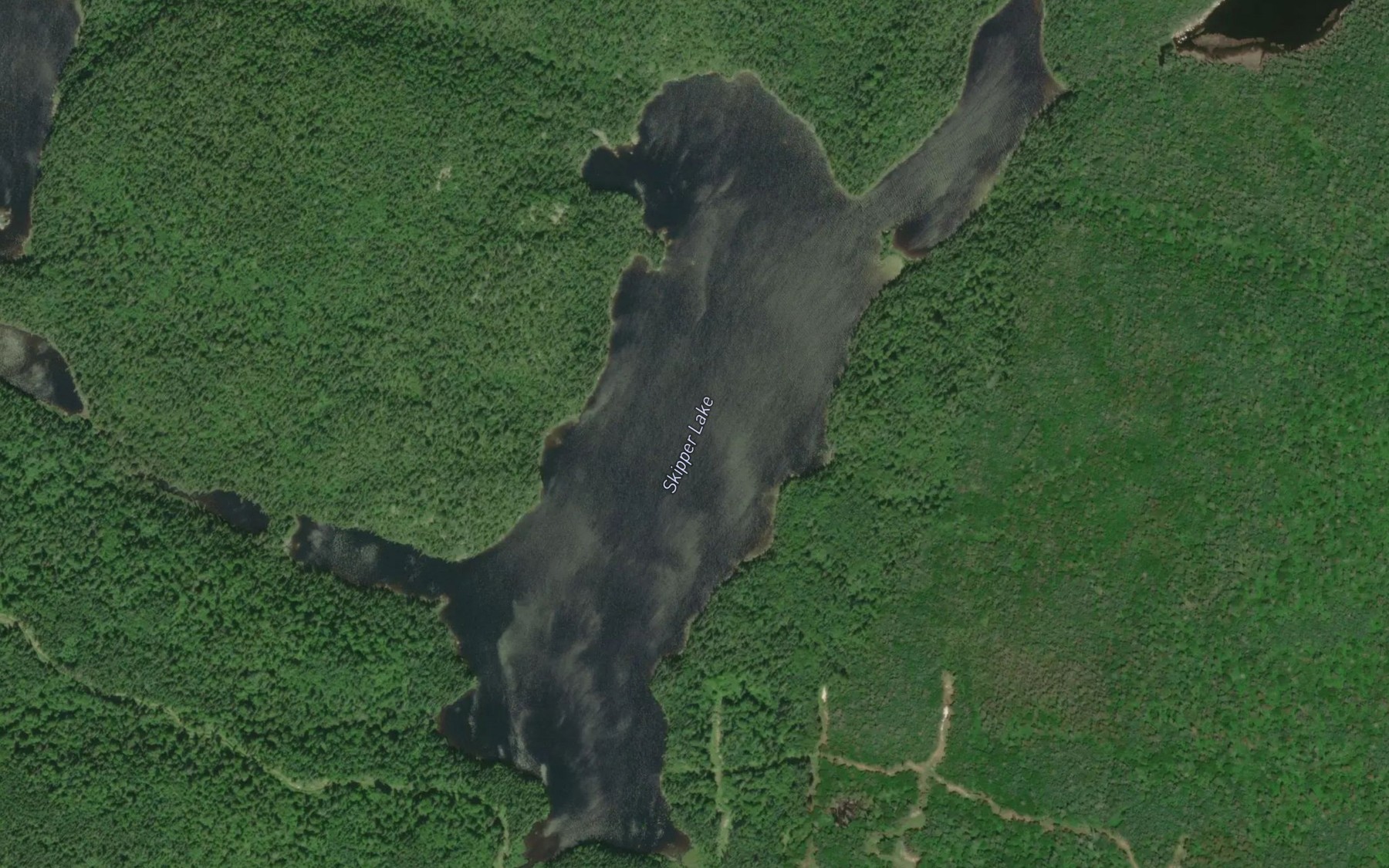 Satellite map of the Skipper Lake