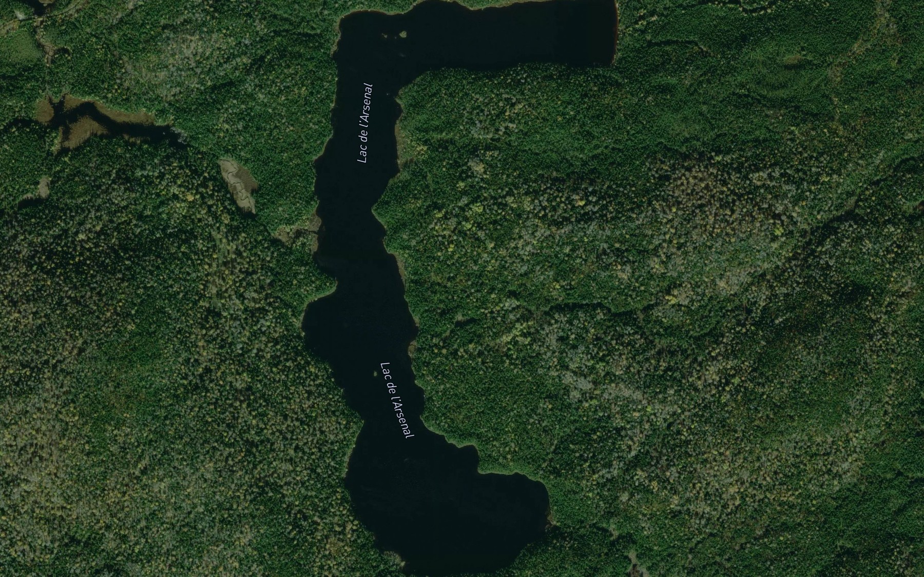 Satellite map of the Lac de l'Arsenal