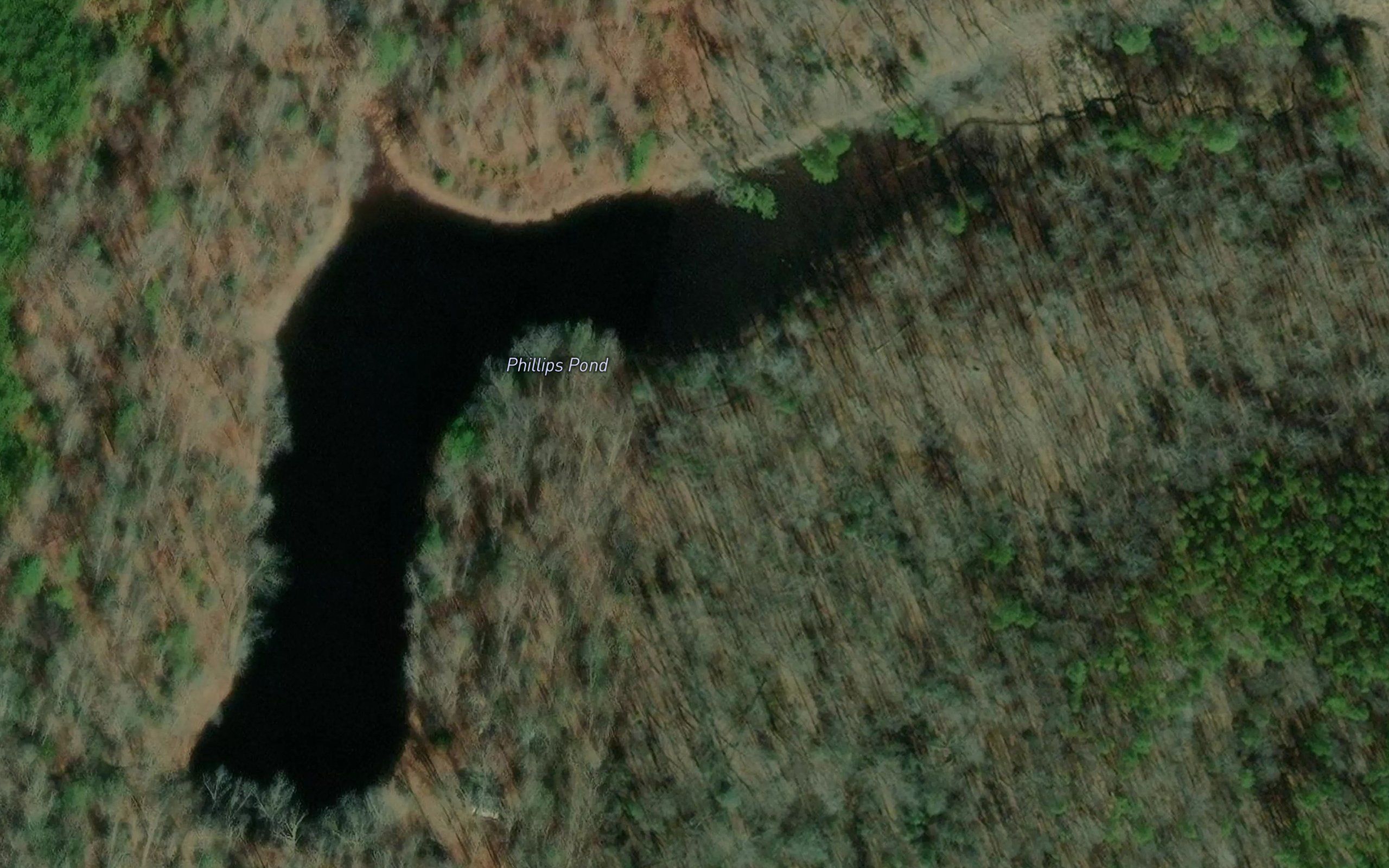 Phillips Pond
