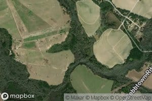 Reedy Creek