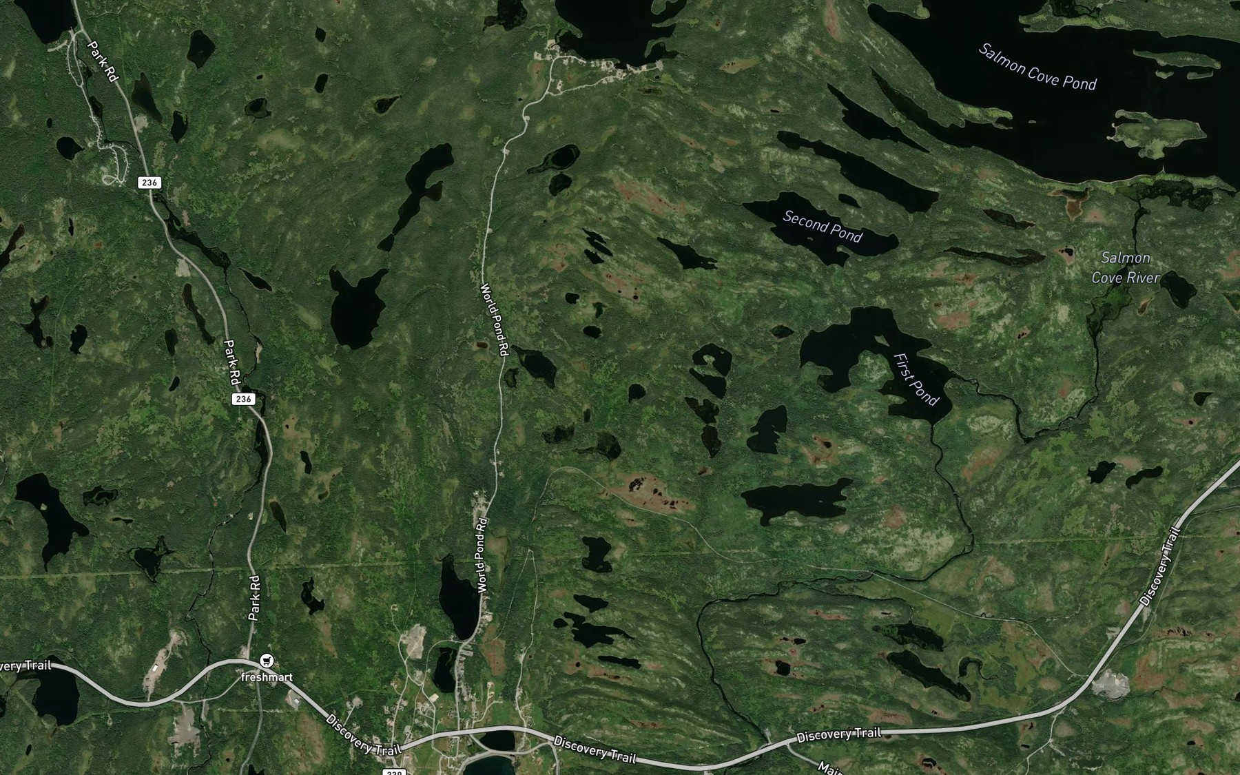 Satellite map of the Lookout Pond