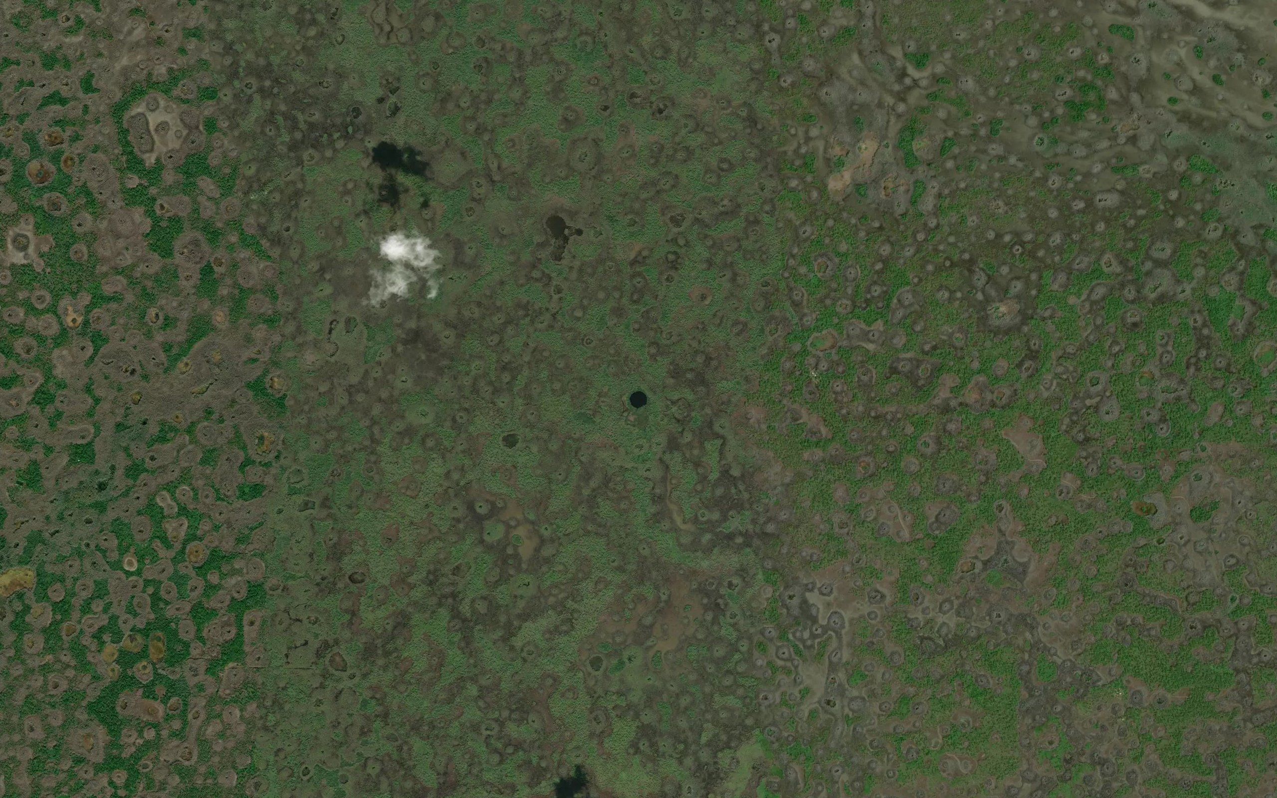 Mud Lake