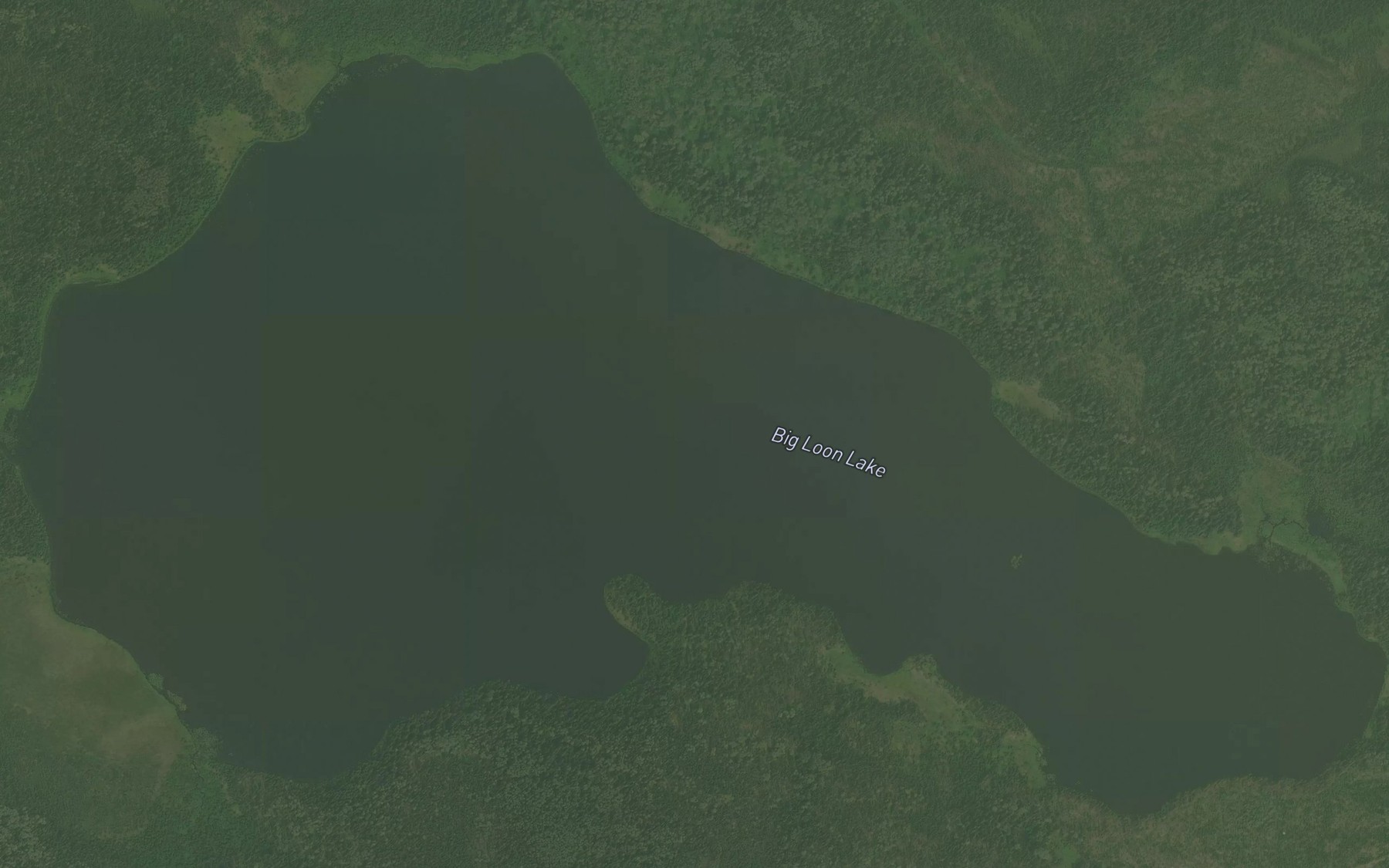 Satellite map of the Big Loon Lake