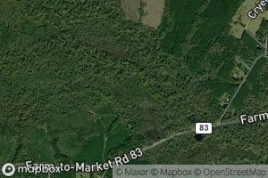 Watts Creek
