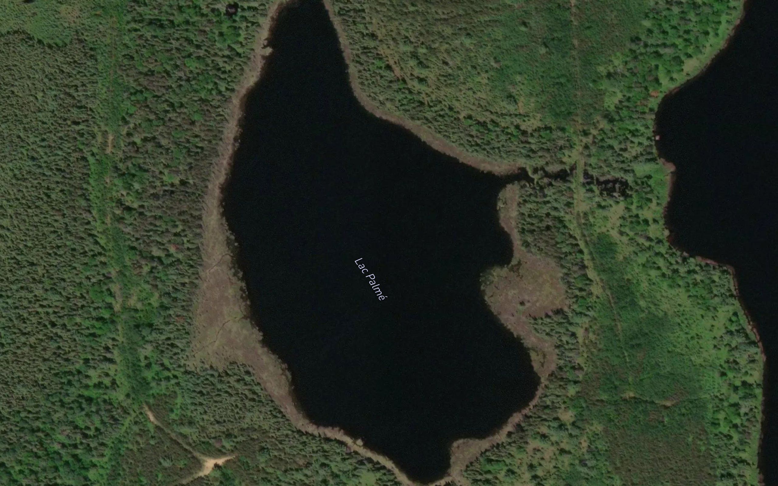 Lac Palme