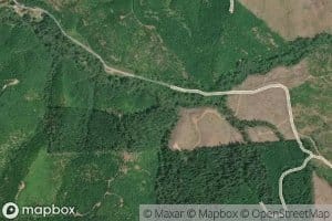 Pine Tree Creek