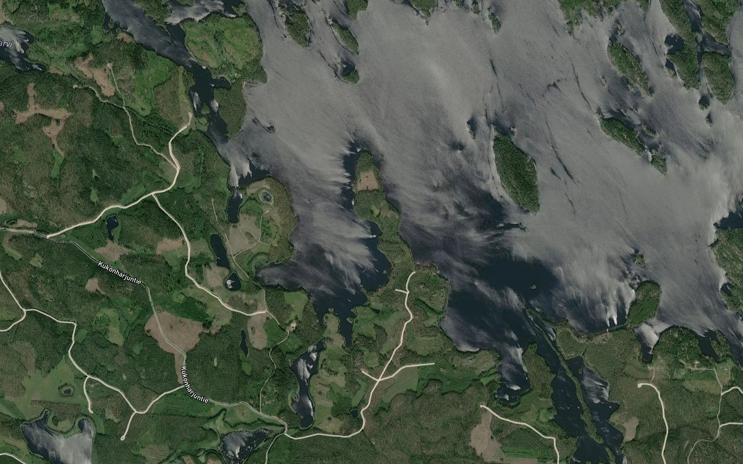 Jouhikkaanapaja