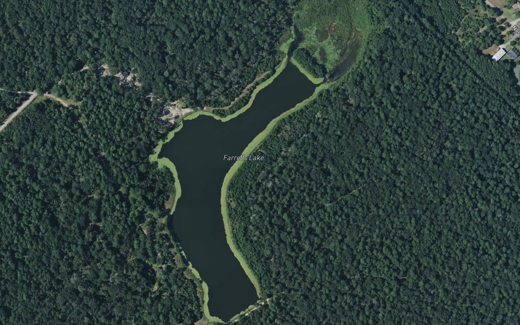 Satellite map of the Farrells Lake