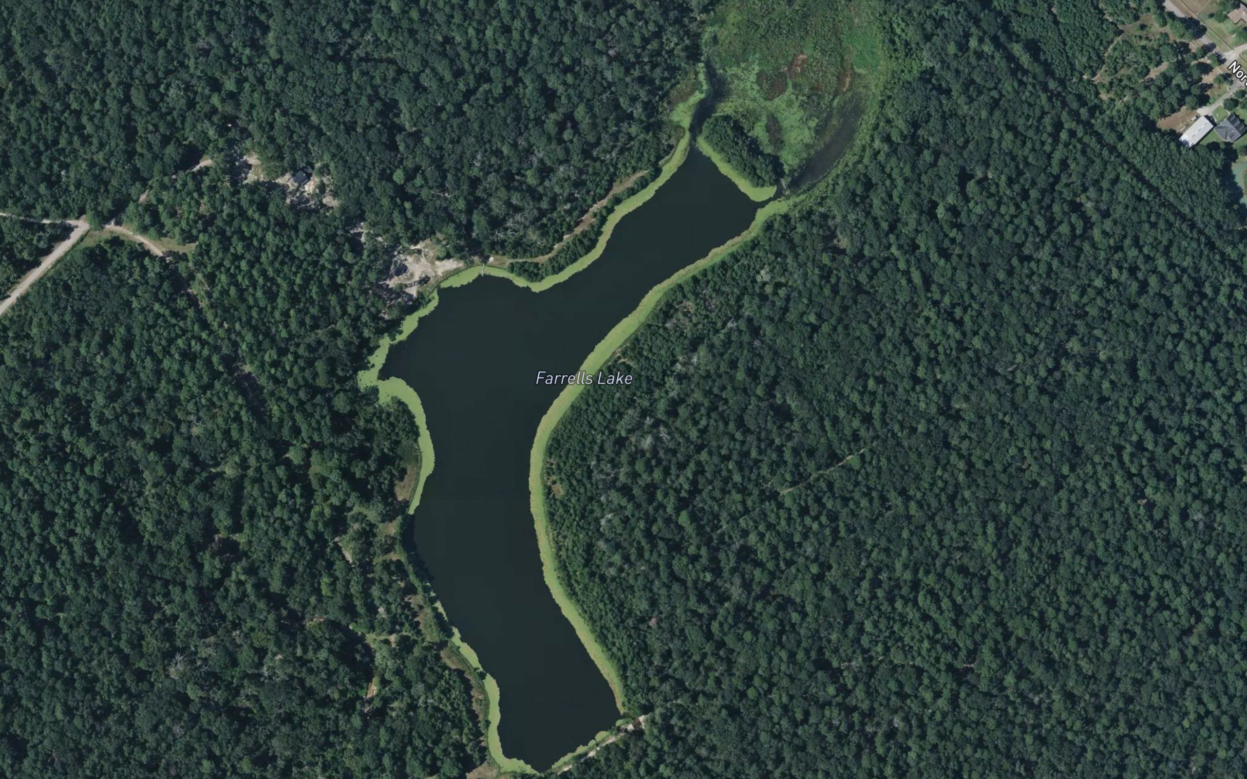 Farrells Lake