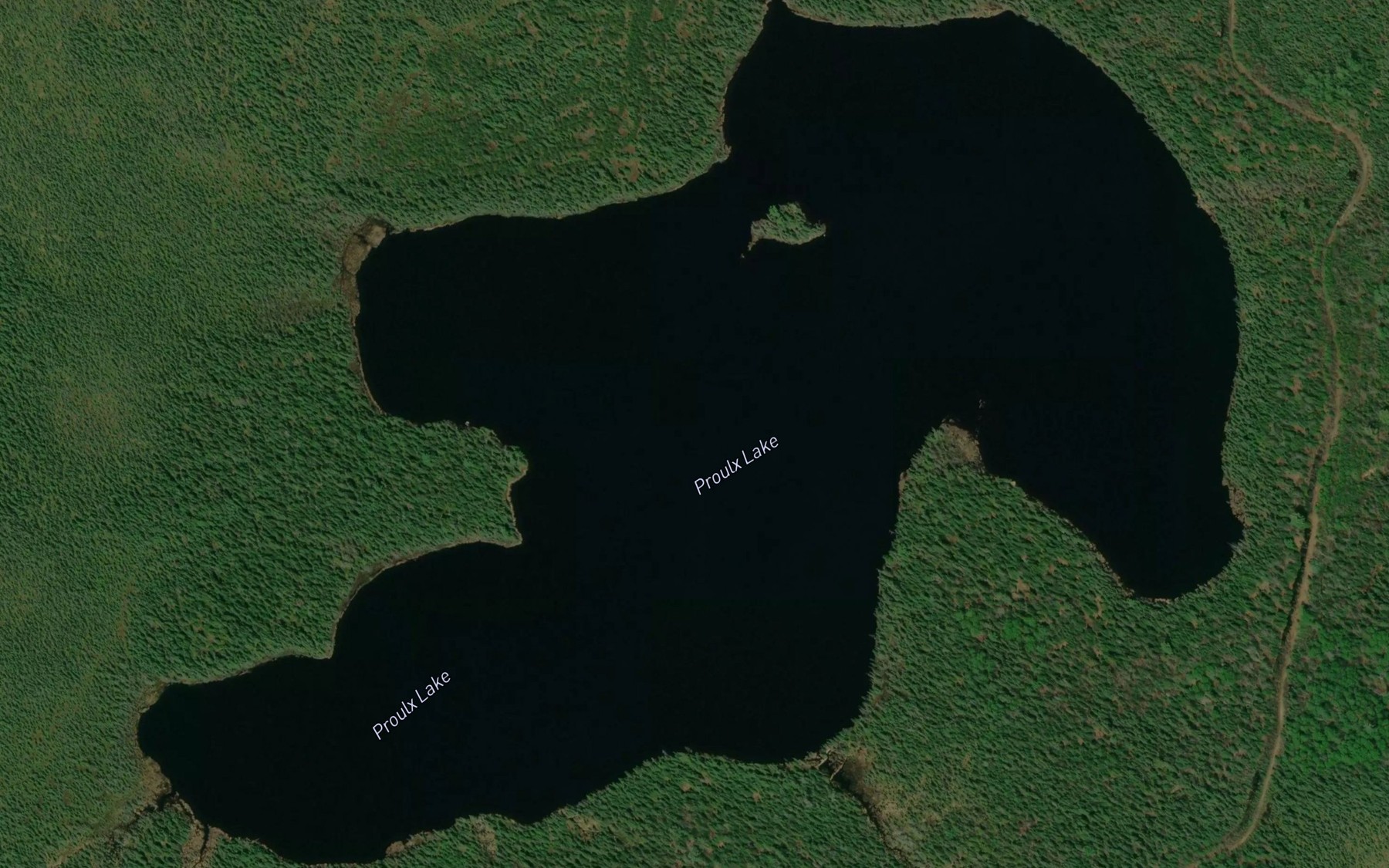 Satellite map of the Proulx Lake