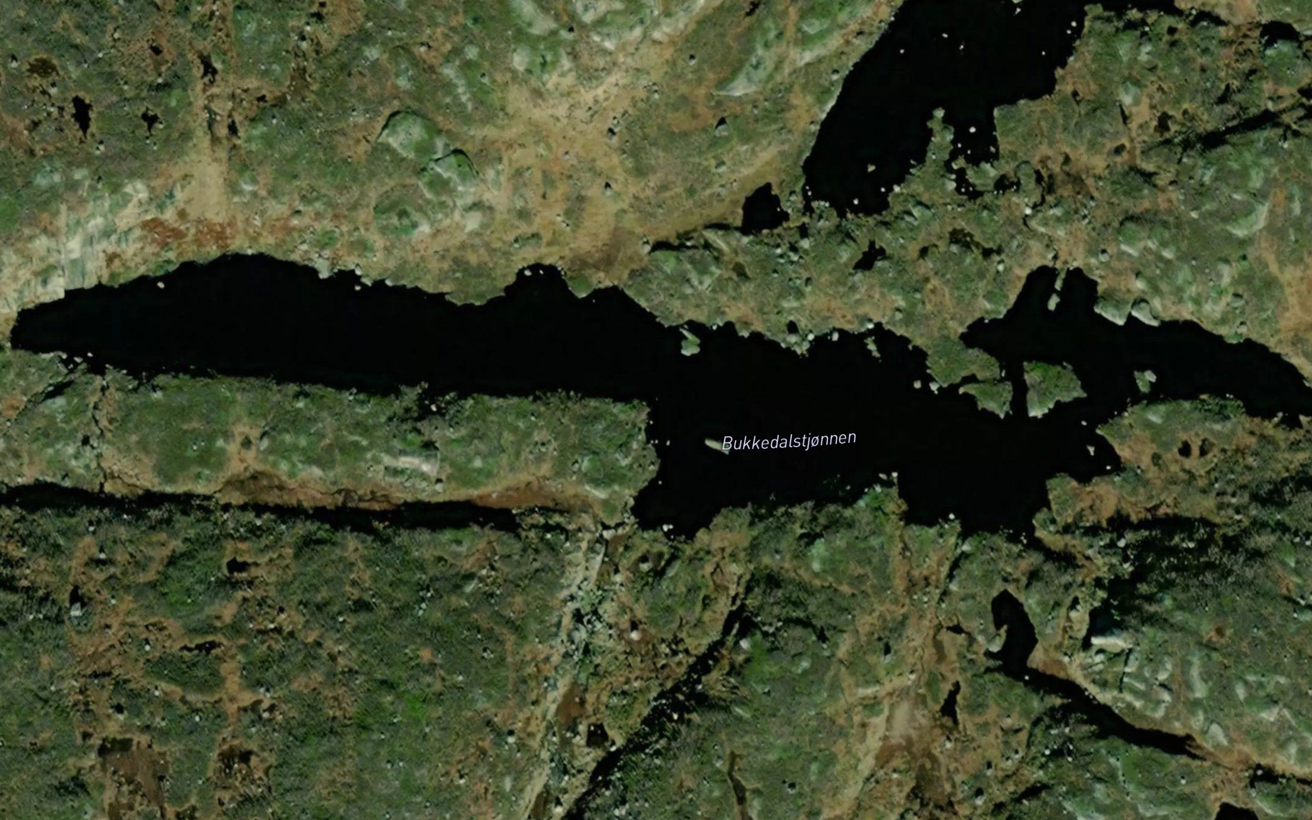 Bukkedalstjonnen