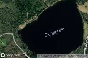 Skjellbreia