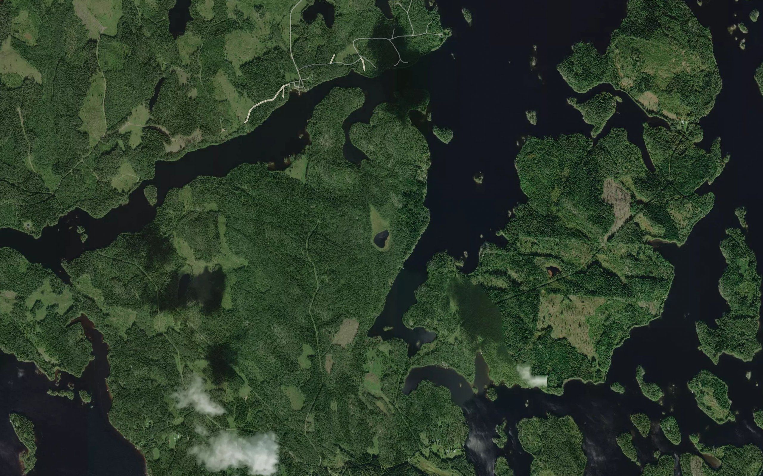 Holonlampi