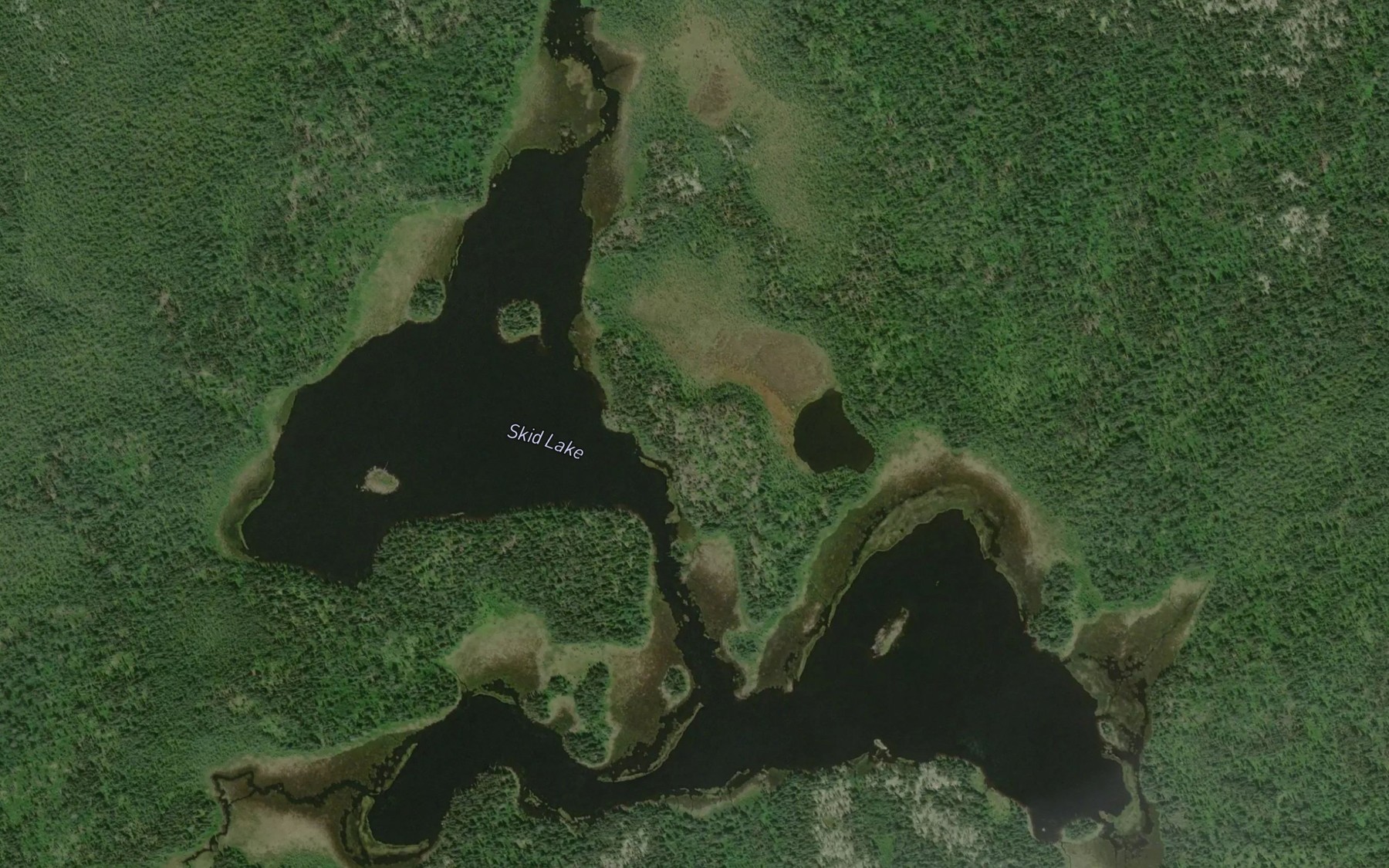 Satellite map of the Skid Lake