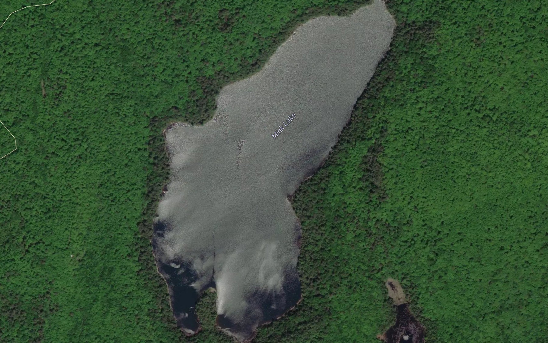 Satellite map of the Mink Lake