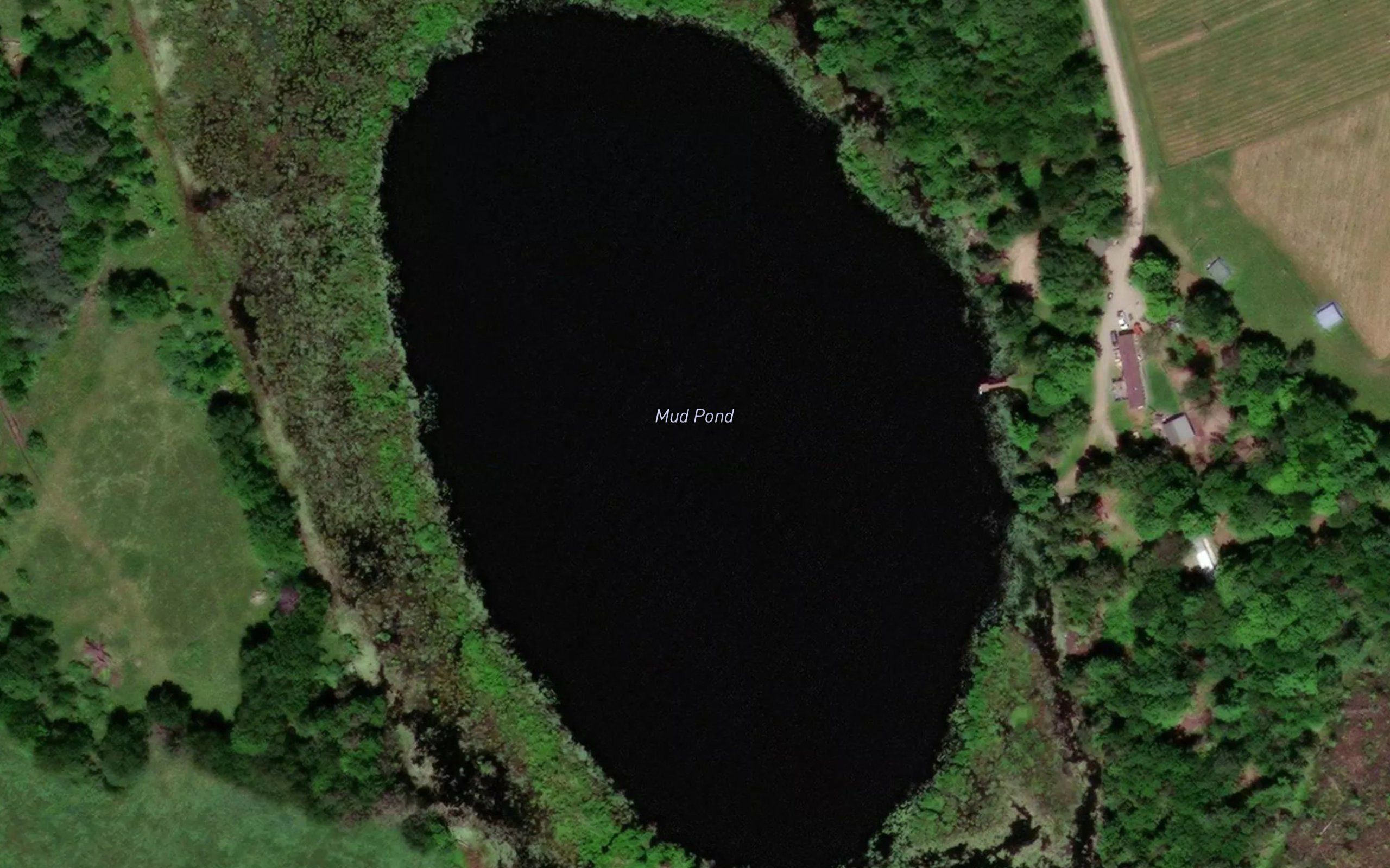 Mud Pond