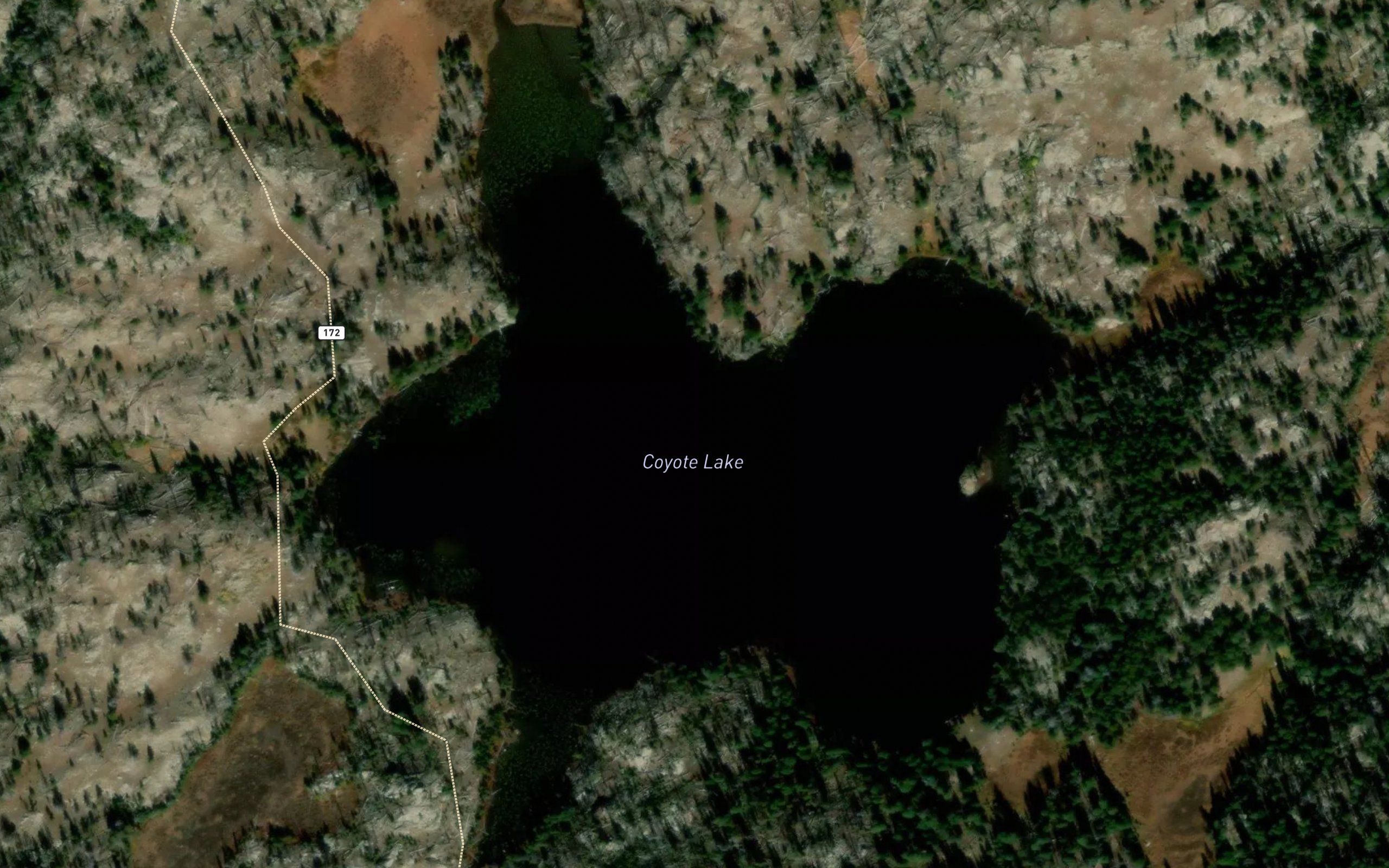 Coyote Lake