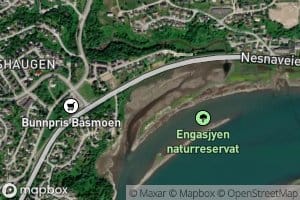 Engasjyen