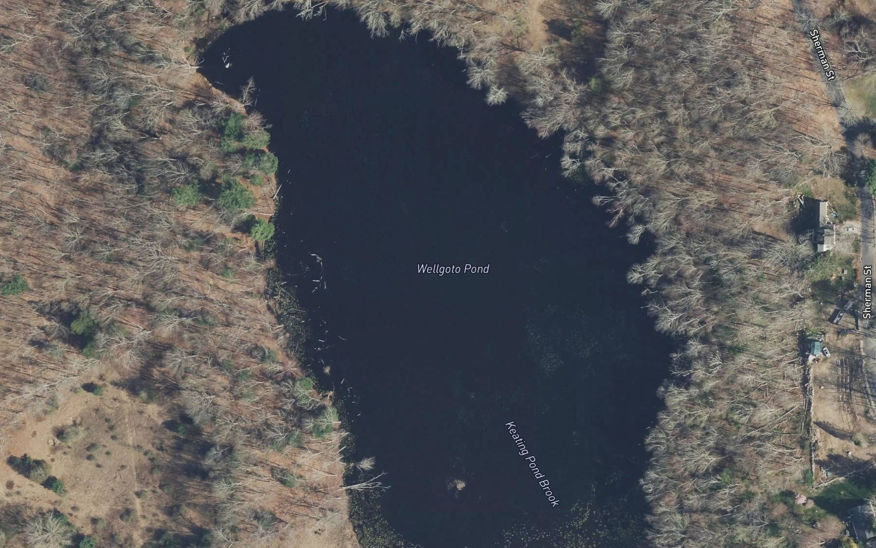 Satellite map of the Wellgoto Pond