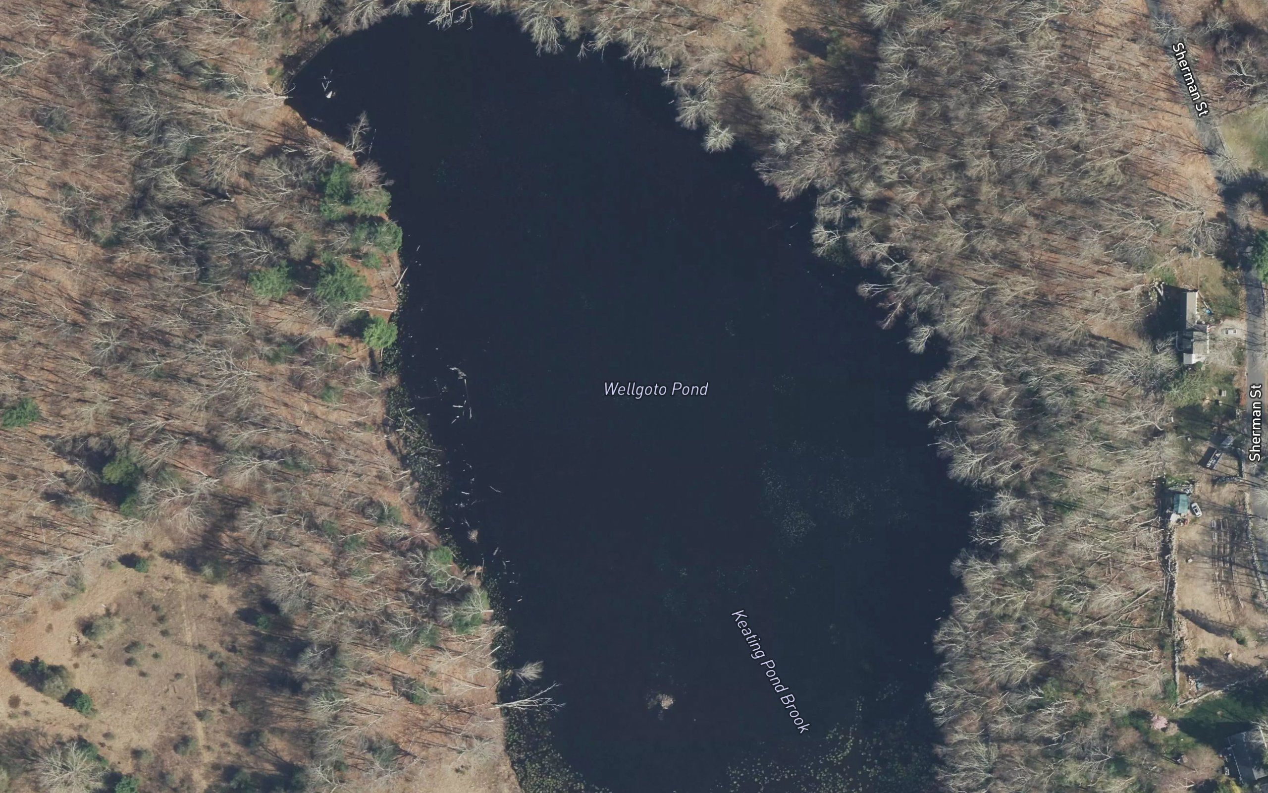 Wellgoto Pond