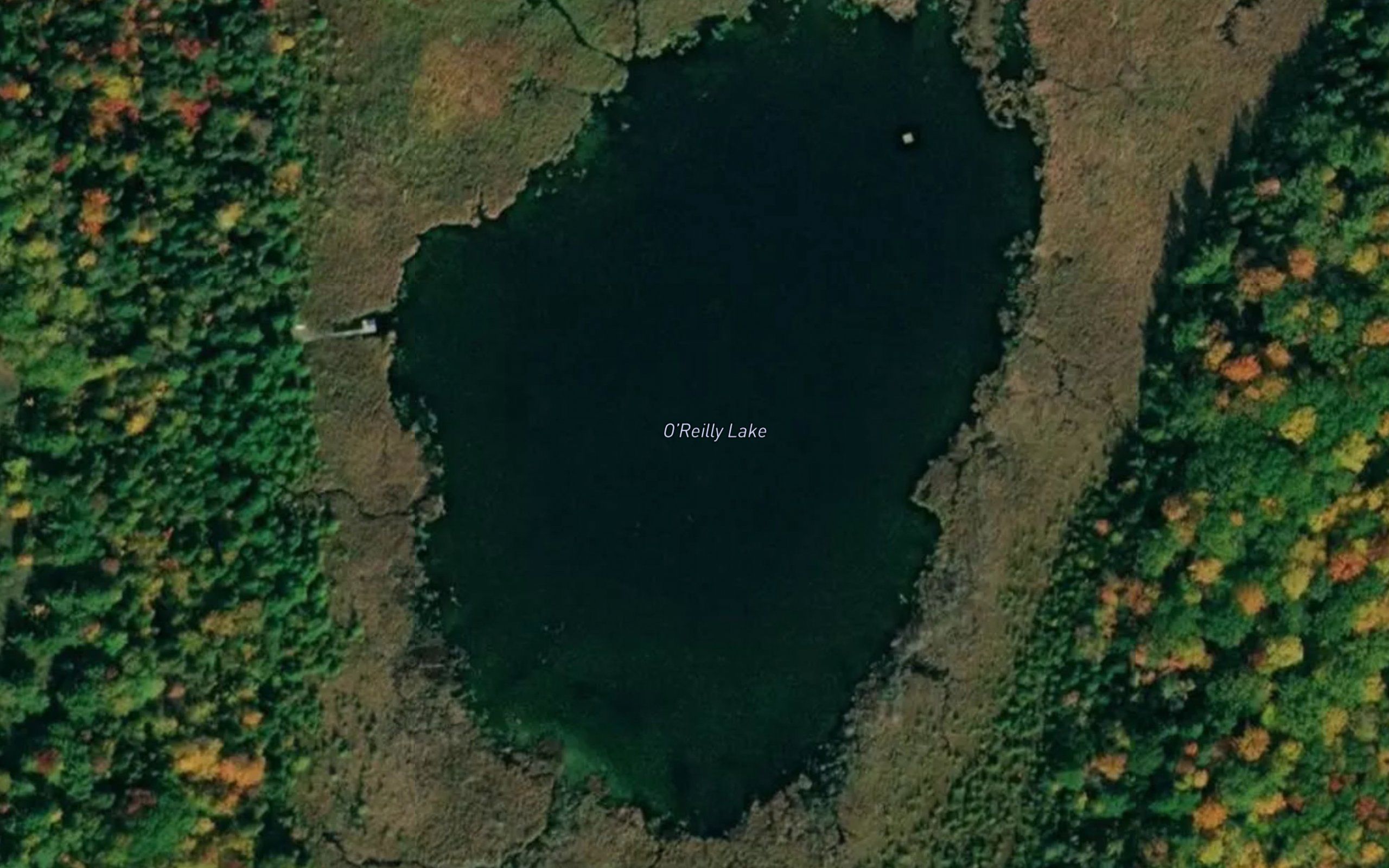 O'Reilly Lake