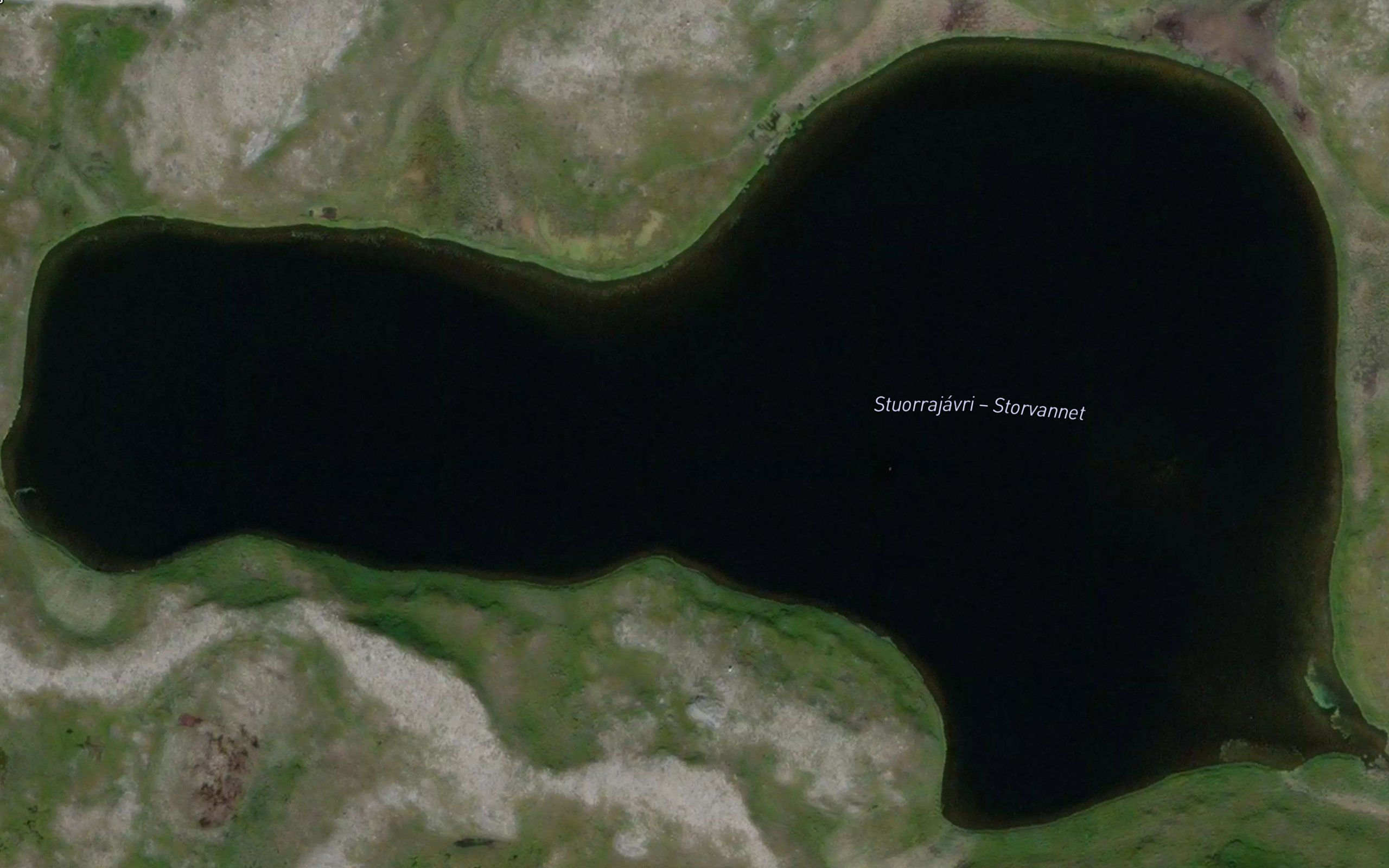 Rivgujavri