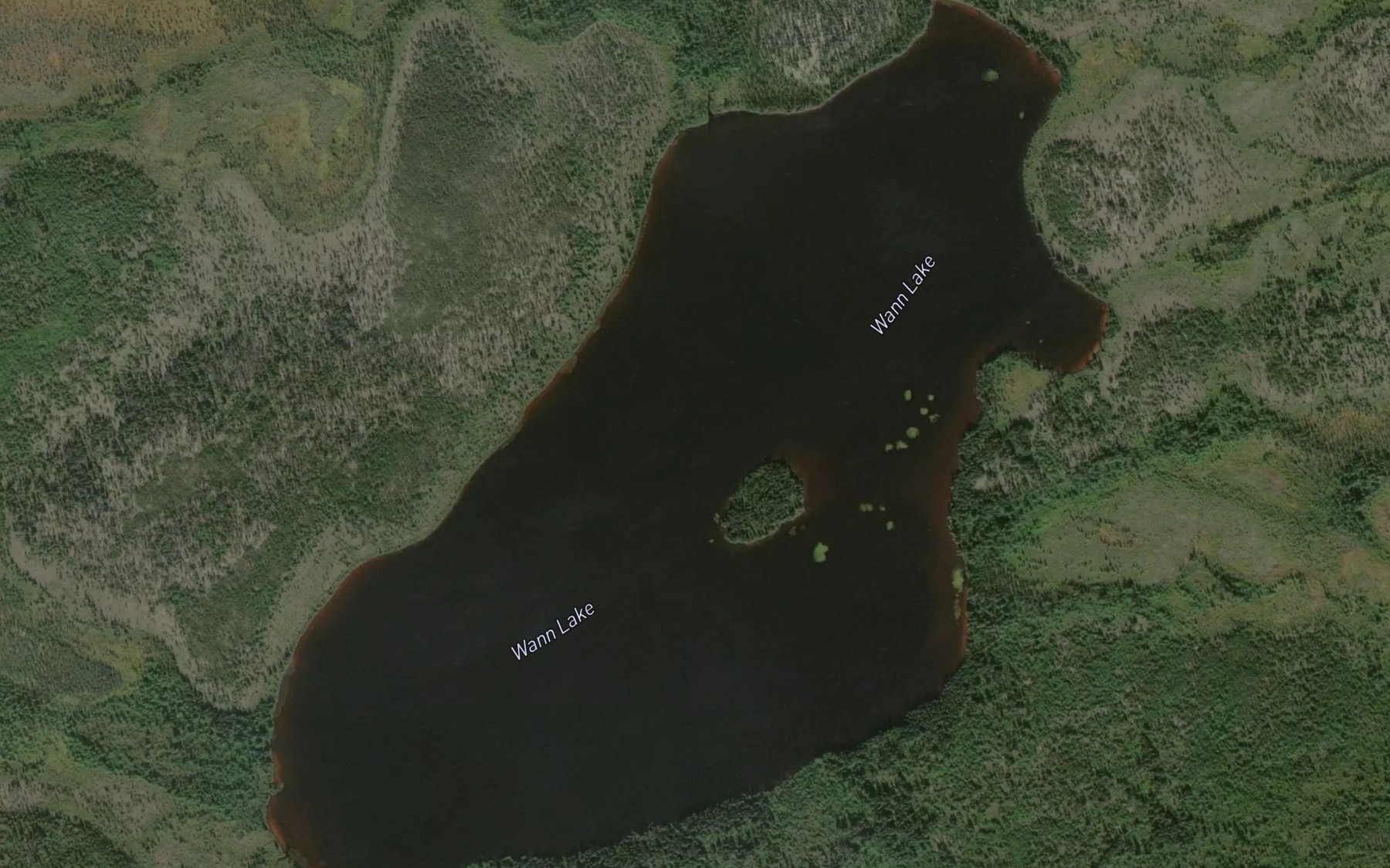Satellite map of the Wann Lake