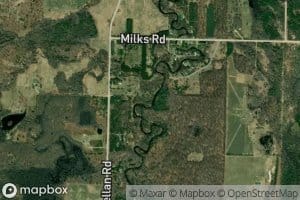 Williamson Creek