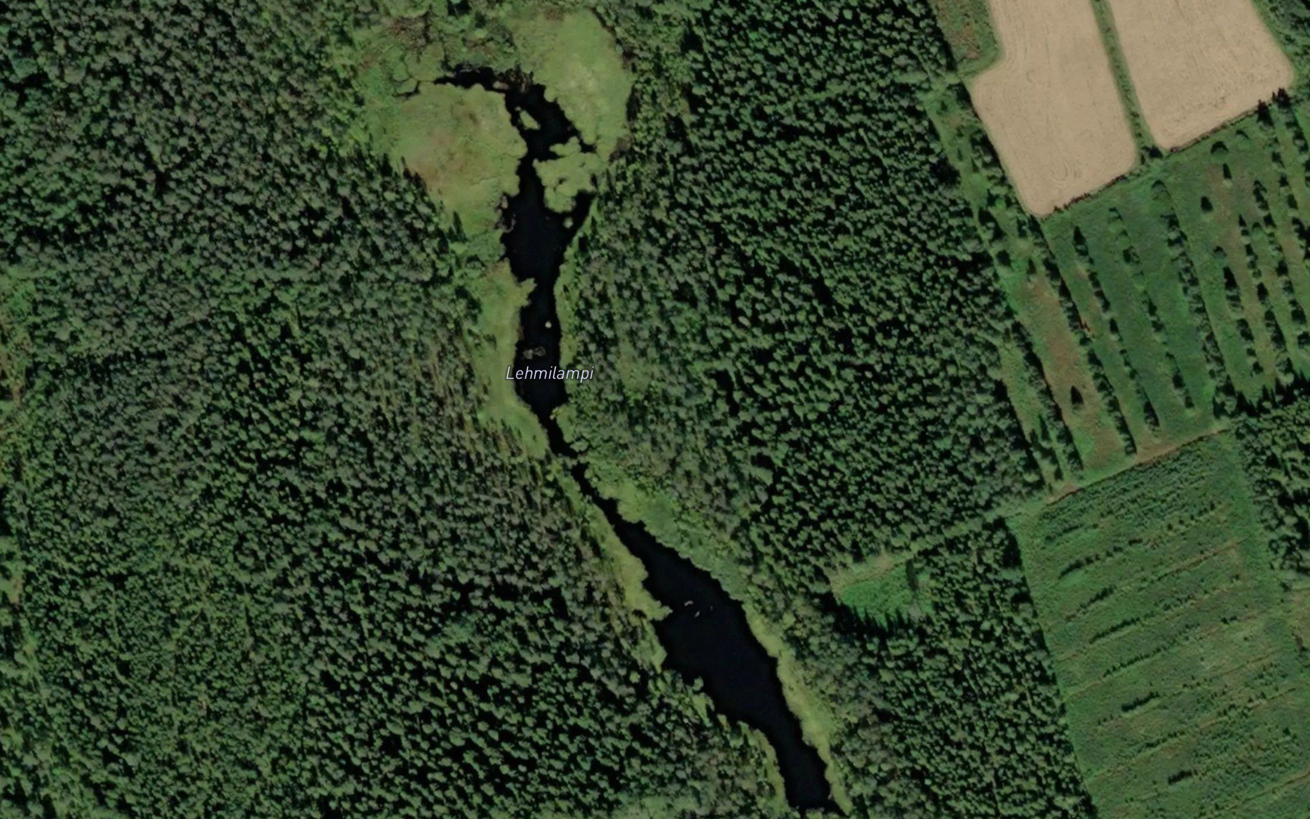Lehmilampi