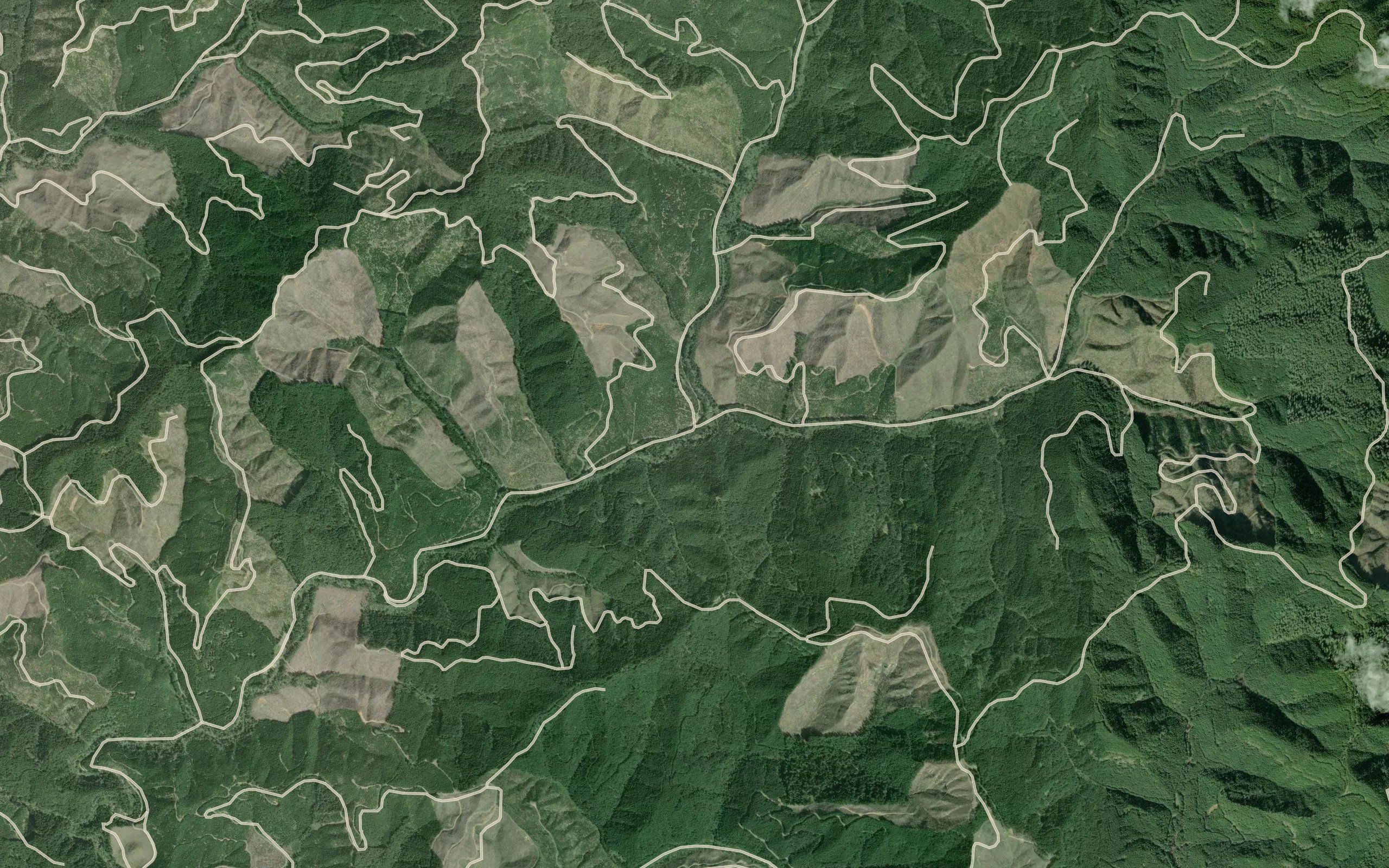 North Fork Bottom Creek