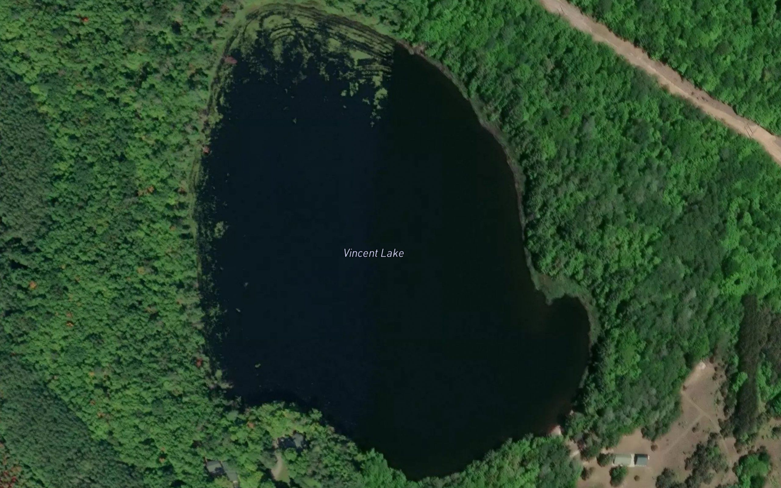 Vincent Lake